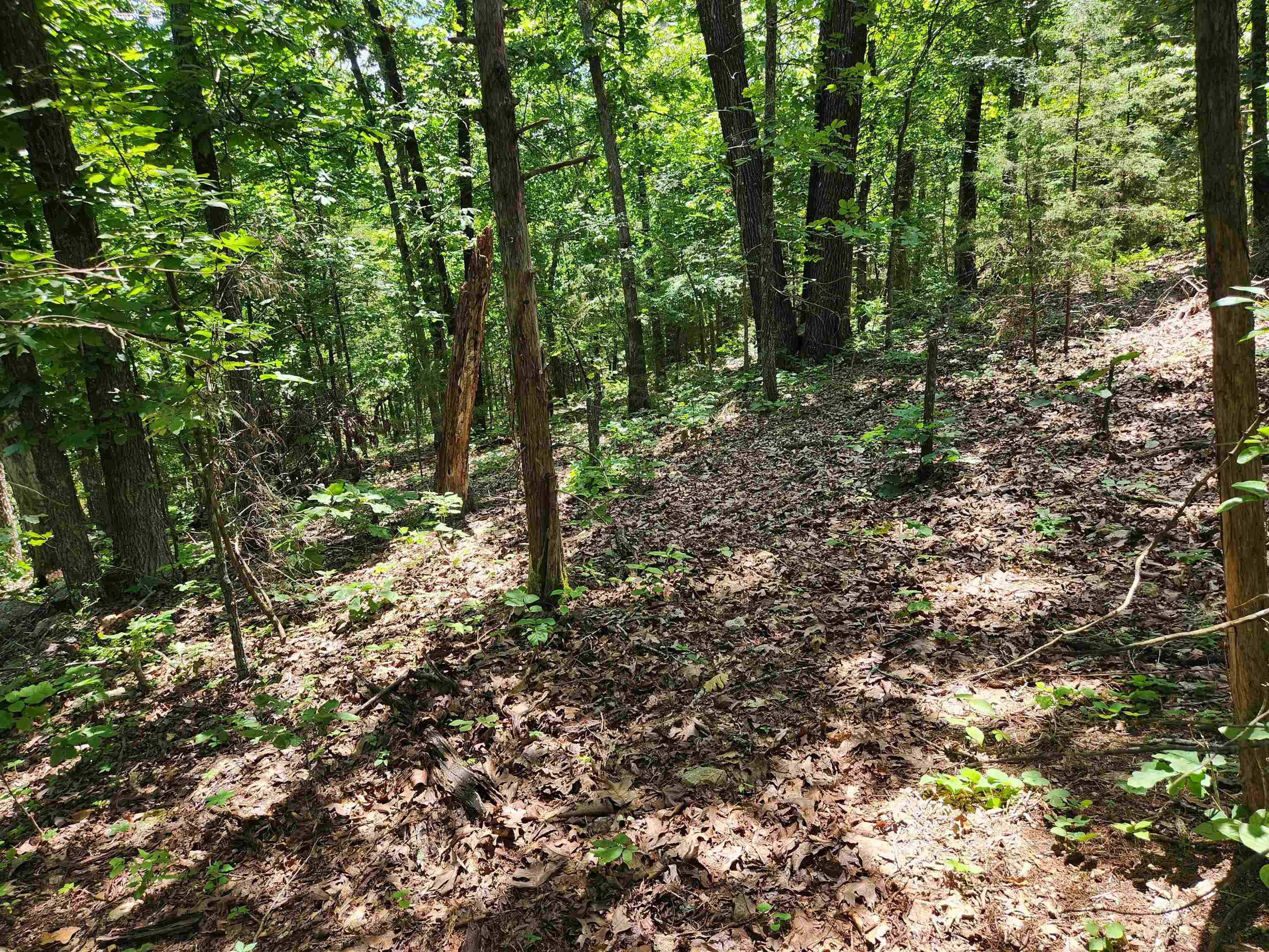 Photo 18 - Vacant Land for sale – L10B9  Quarez   Cherokee Village, AR