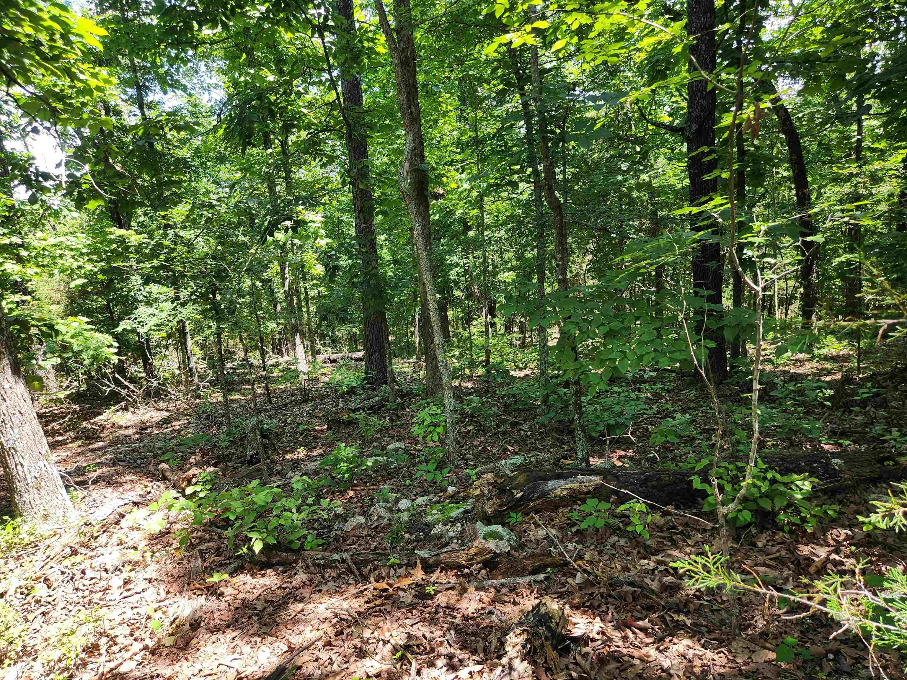 Photo 20 - Vacant Land for sale – L10B9  Quarez   Cherokee Village, AR