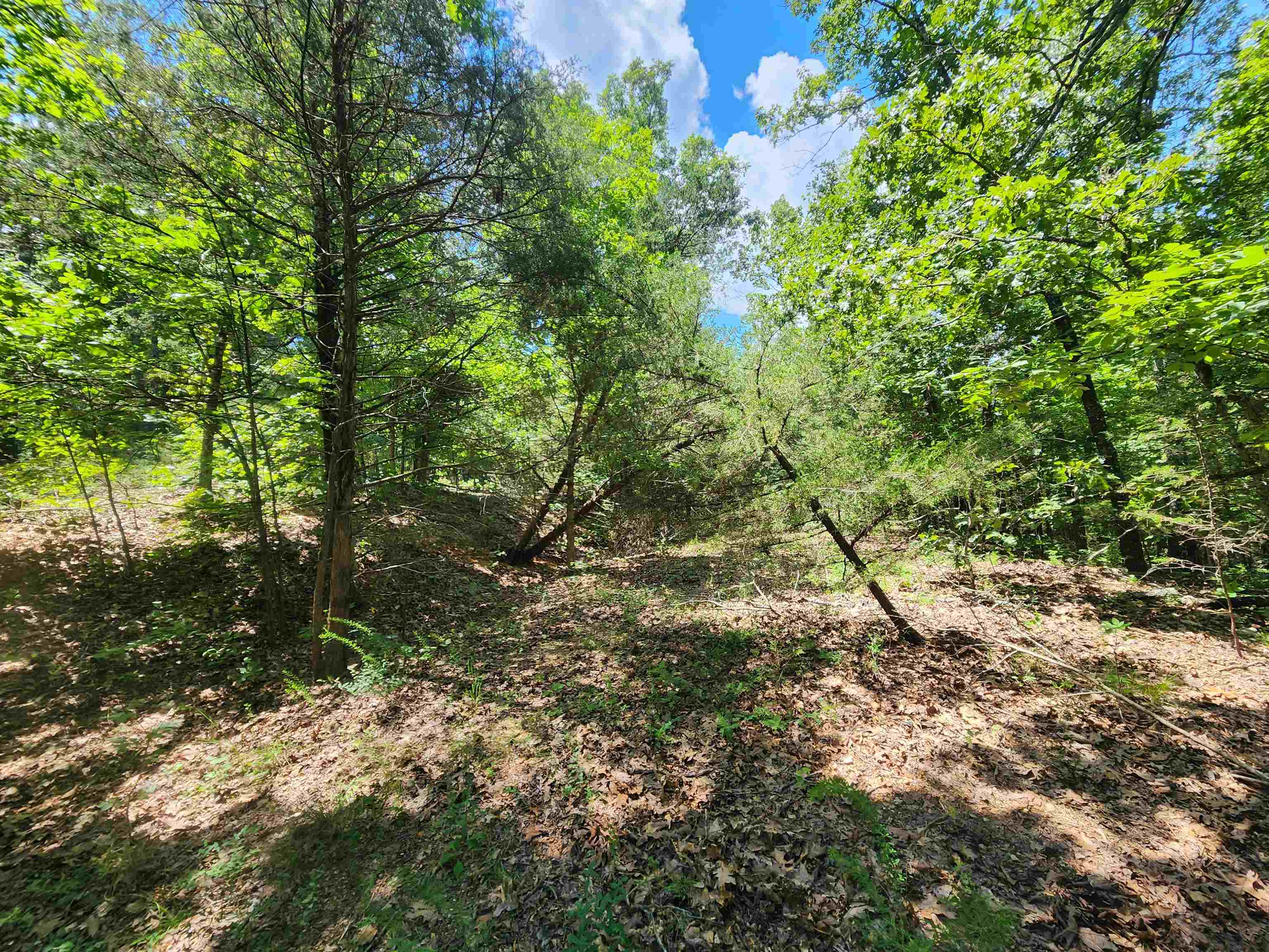 Photo 3 - Vacant Land for sale – L10B9  Quarez   Cherokee Village, AR