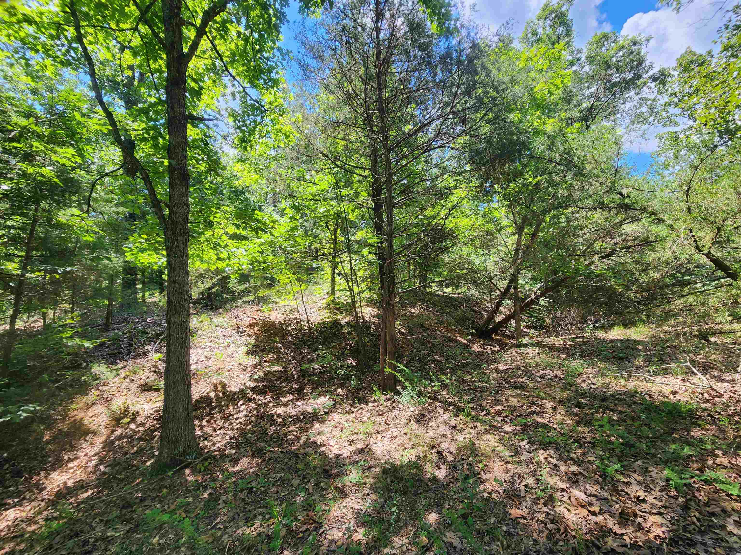 Photo 4 - Vacant Land for sale – L10B9  Quarez   Cherokee Village, AR