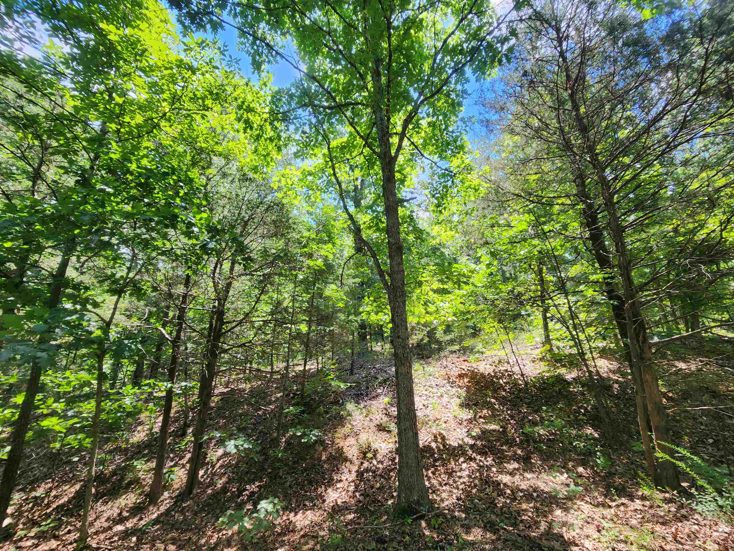 Photo 5 - Vacant Land for sale – L10B9  Quarez   Cherokee Village, AR