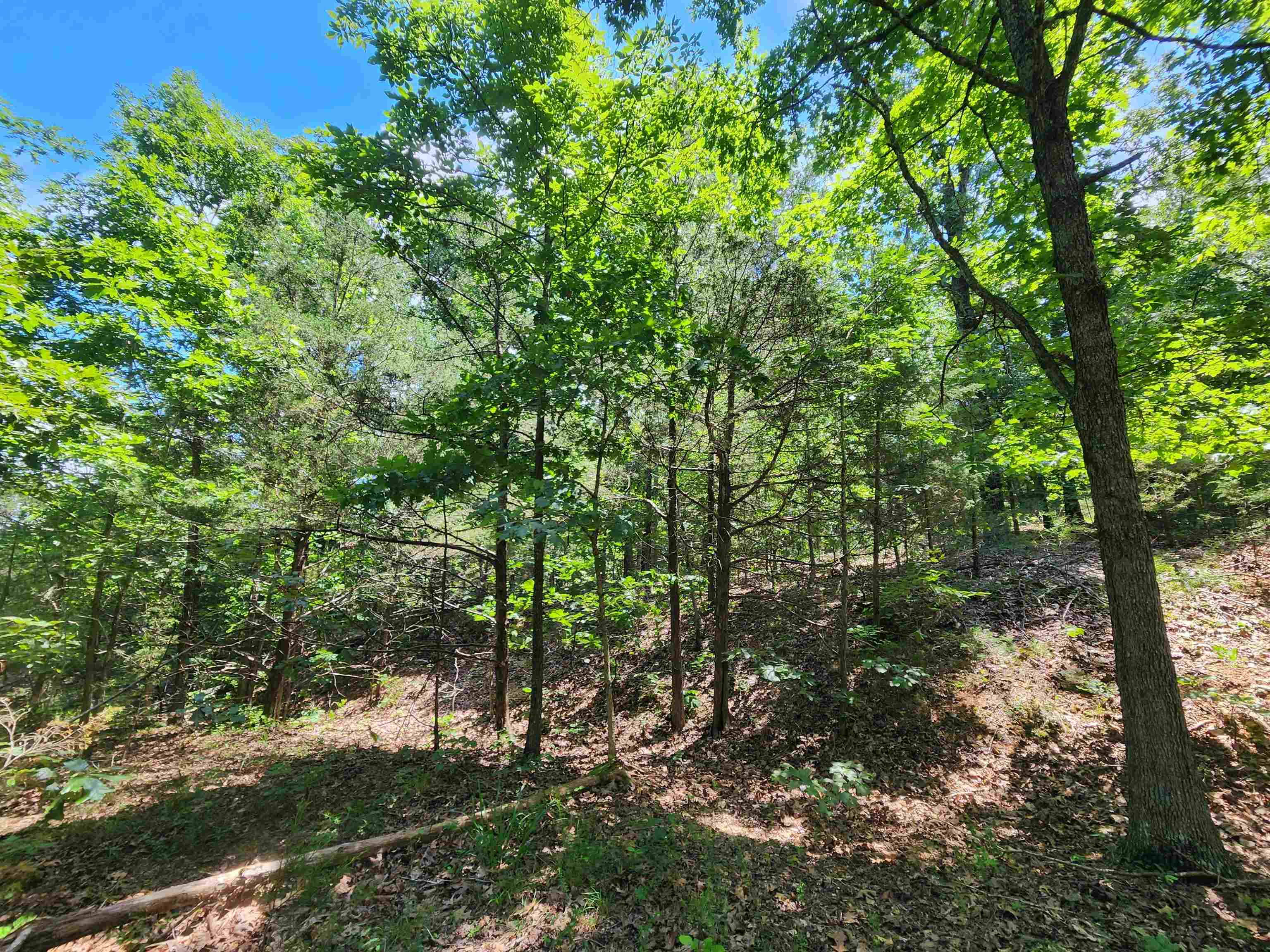 Photo 6 - Vacant Land for sale – L10B9  Quarez   Cherokee Village, AR