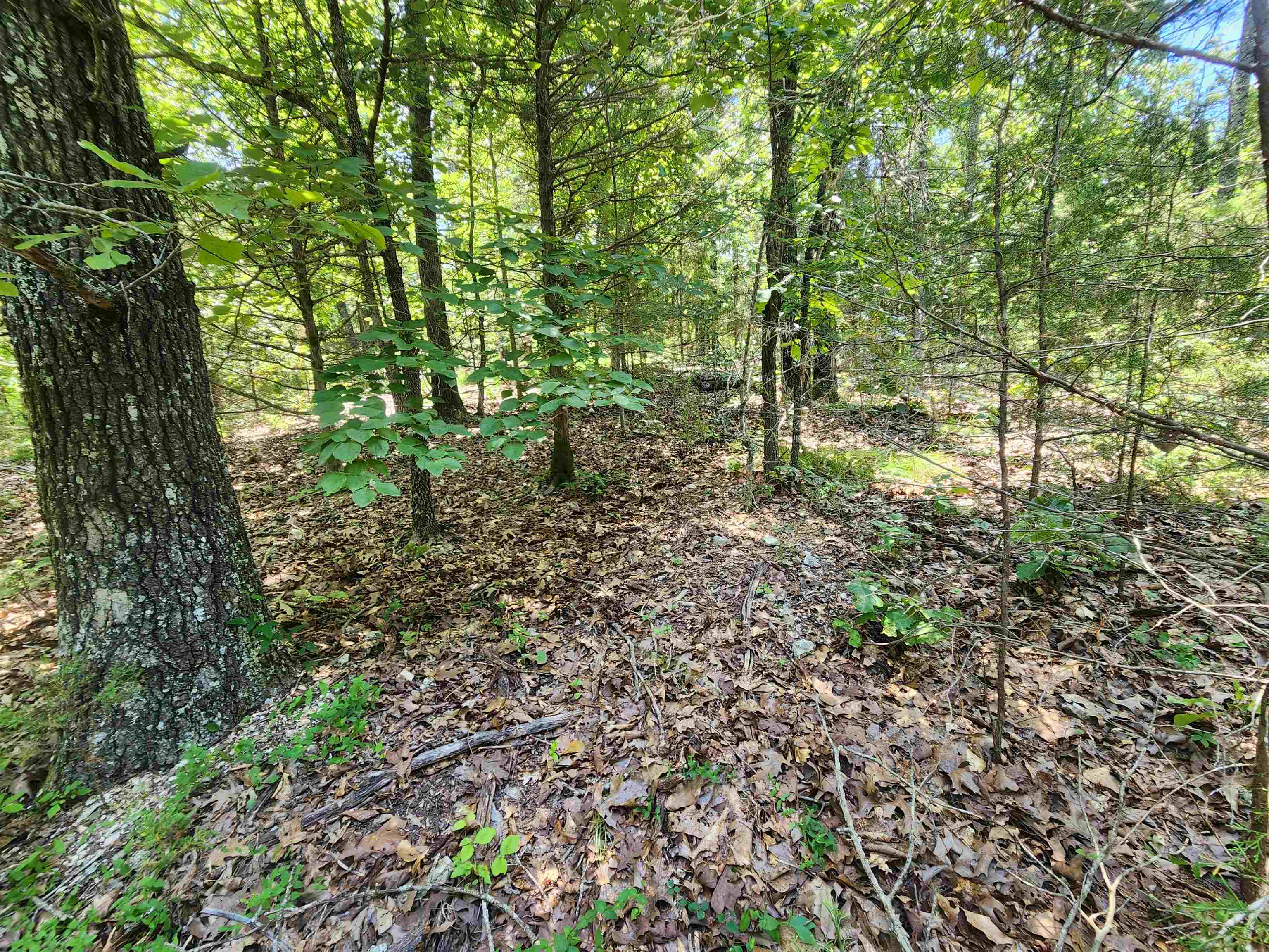 Photo 8 - Vacant Land for sale – L10B9  Quarez   Cherokee Village, AR