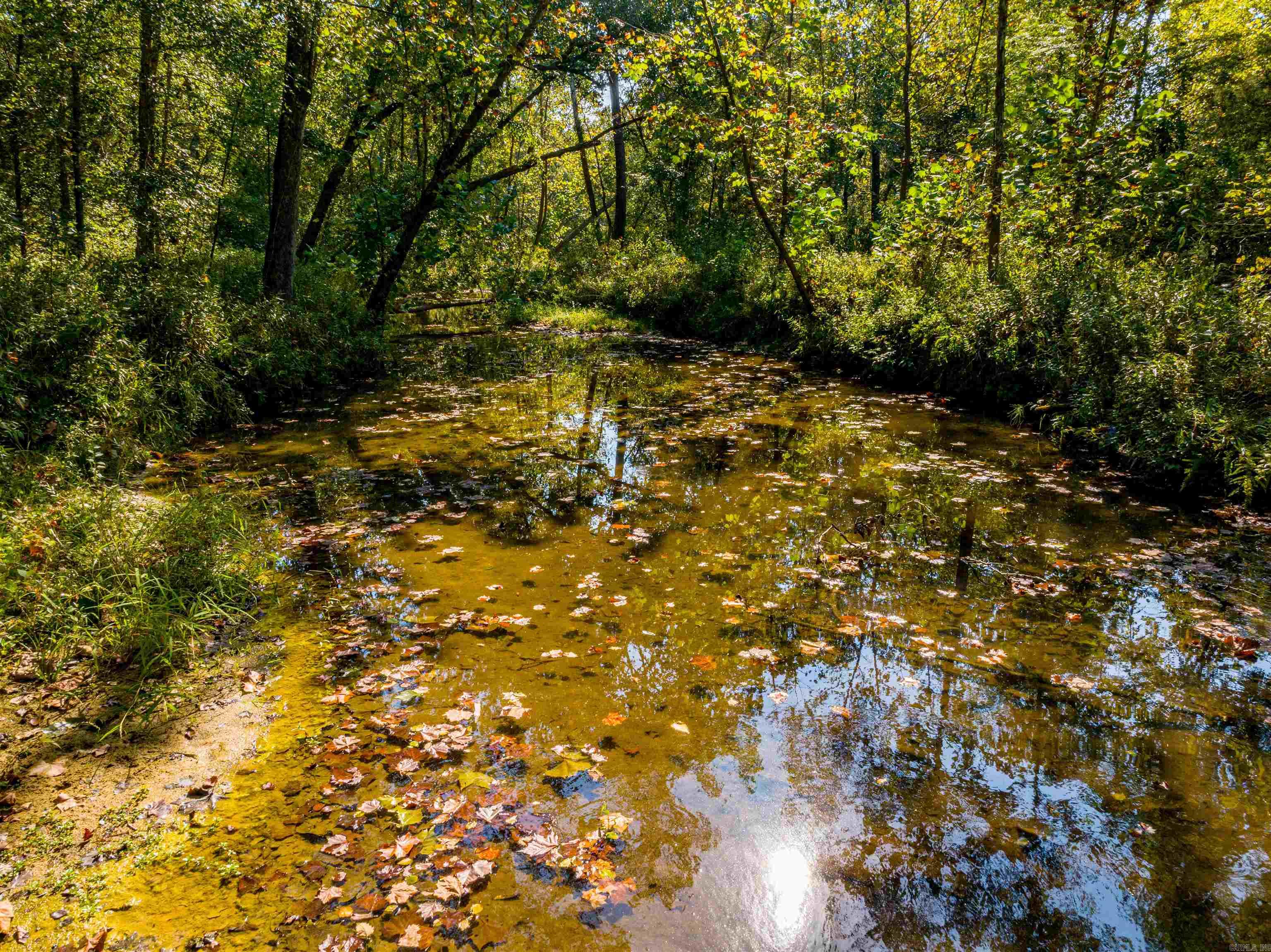 Photo 2 - Vacant Land for sale – 0  SILVER SPRINGS   Evening Shade, AR