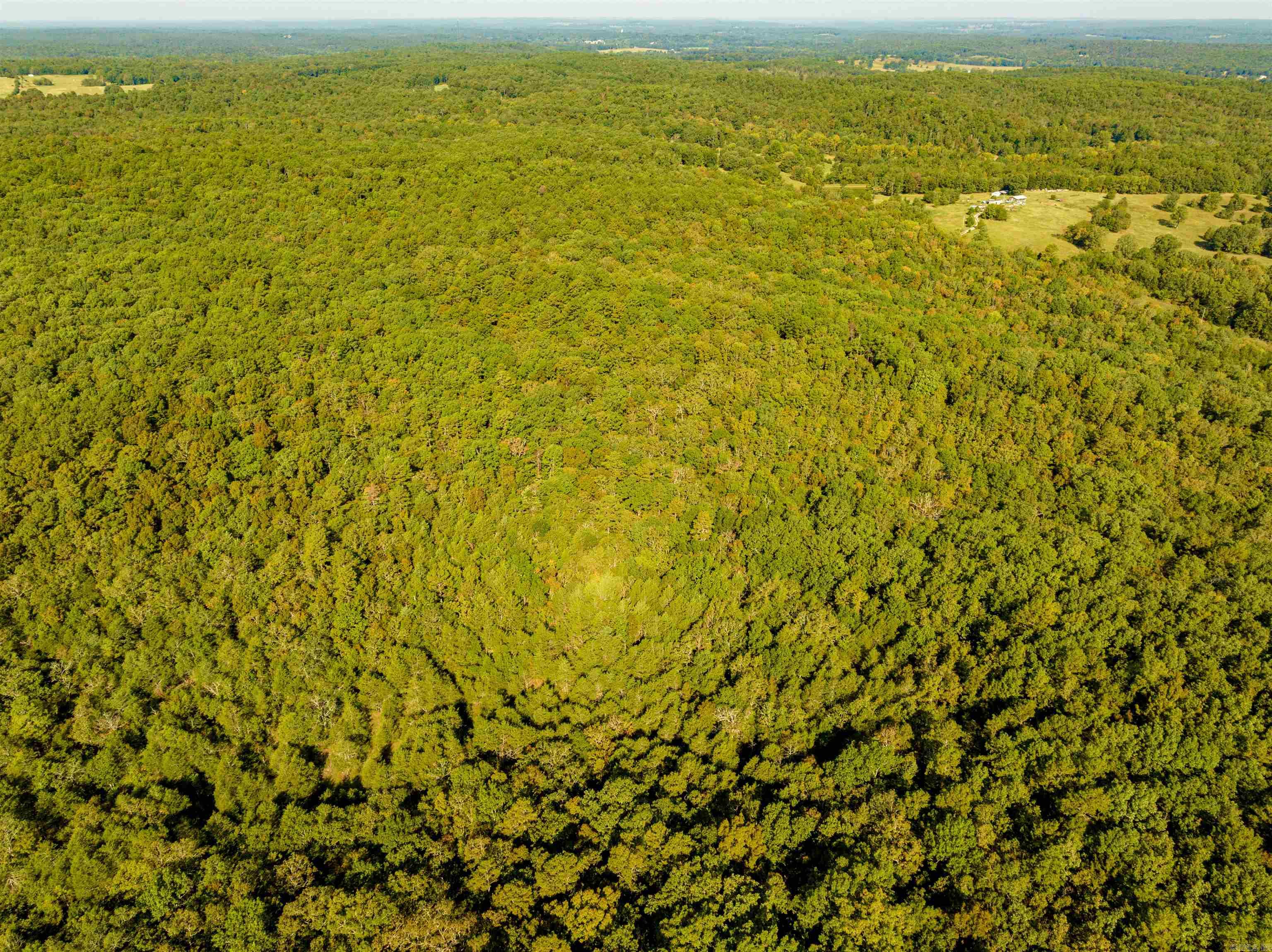 Photo 9 - Vacant Land for sale – 0  SILVER SPRINGS   Evening Shade, AR