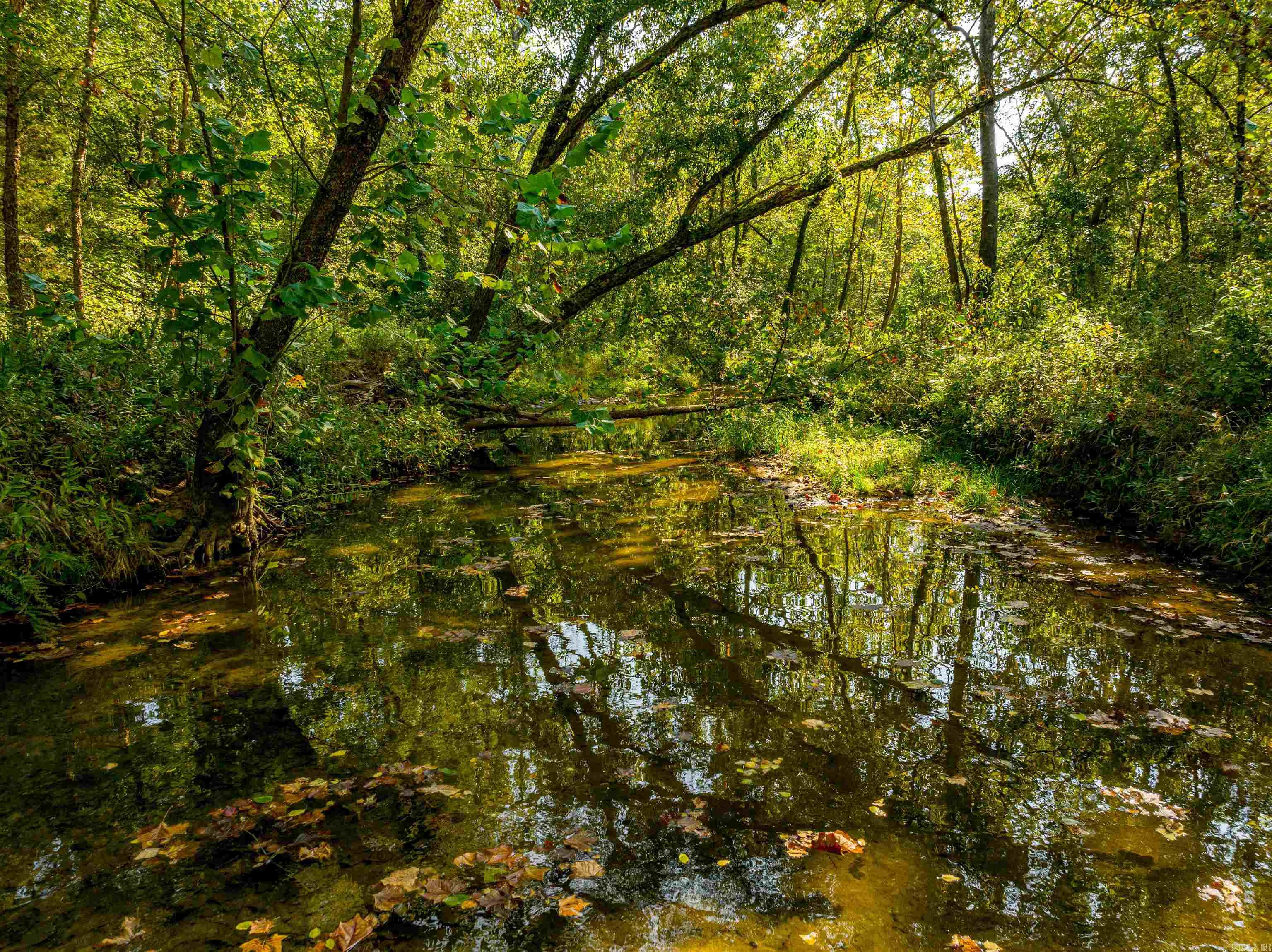 Photo 10 - Vacant Land for sale – 0  SILVER SPRINGS   Evening Shade, AR