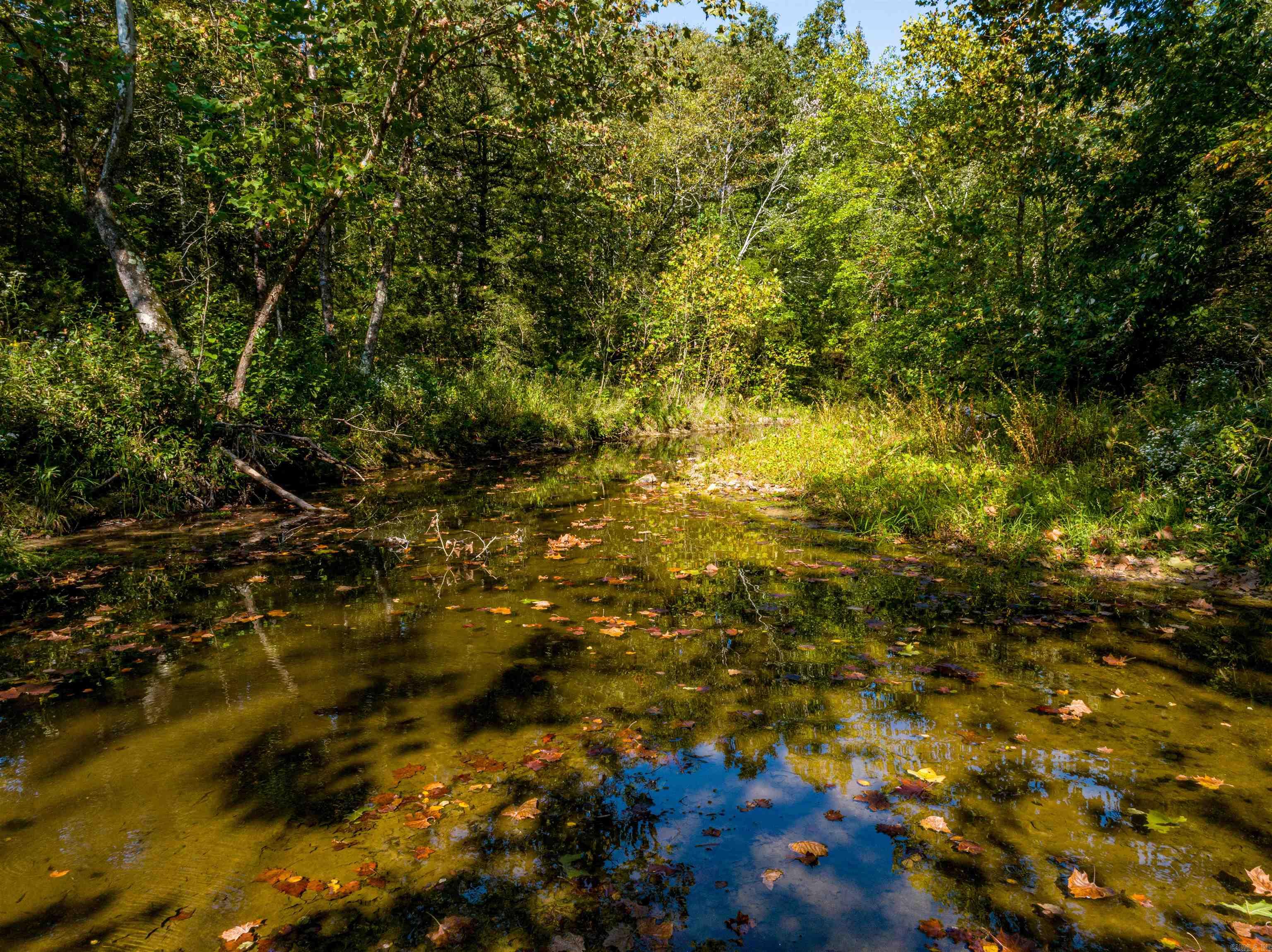 Photo 11 - Vacant Land for sale – 0  SILVER SPRINGS   Evening Shade, AR