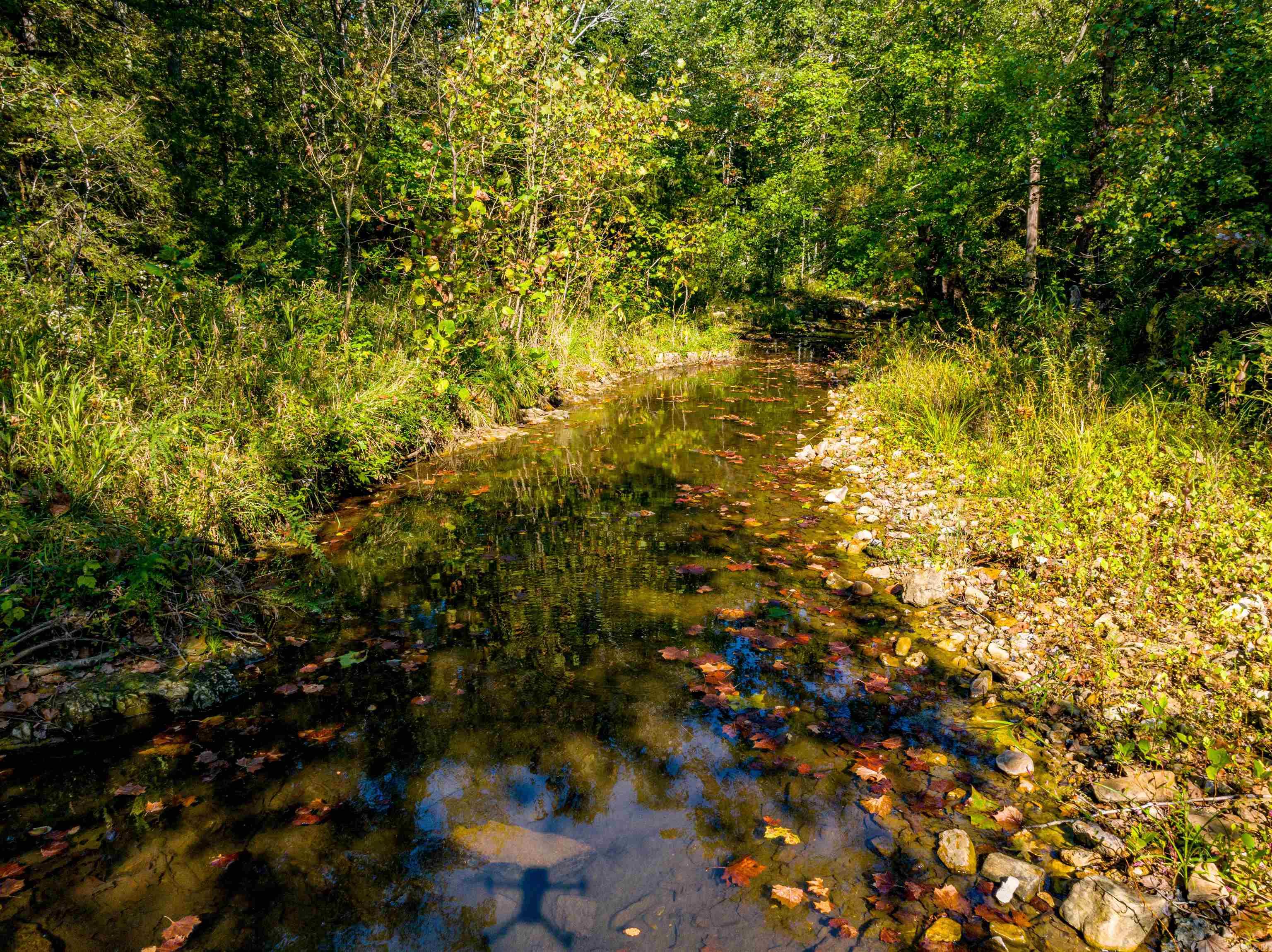 Photo 12 - Vacant Land for sale – 0  SILVER SPRINGS   Evening Shade, AR