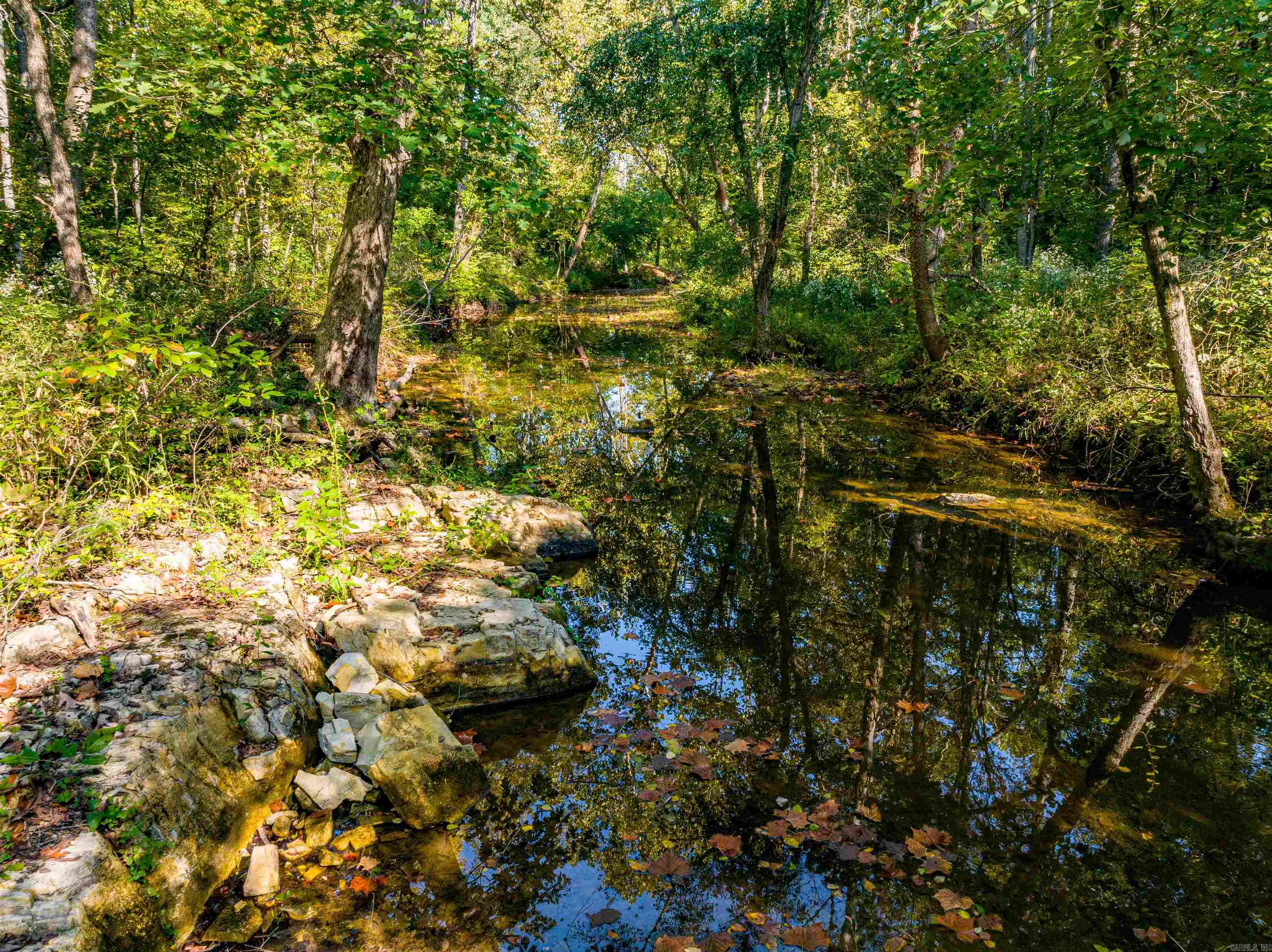 Photo 13 - Vacant Land for sale – 0  SILVER SPRINGS   Evening Shade, AR