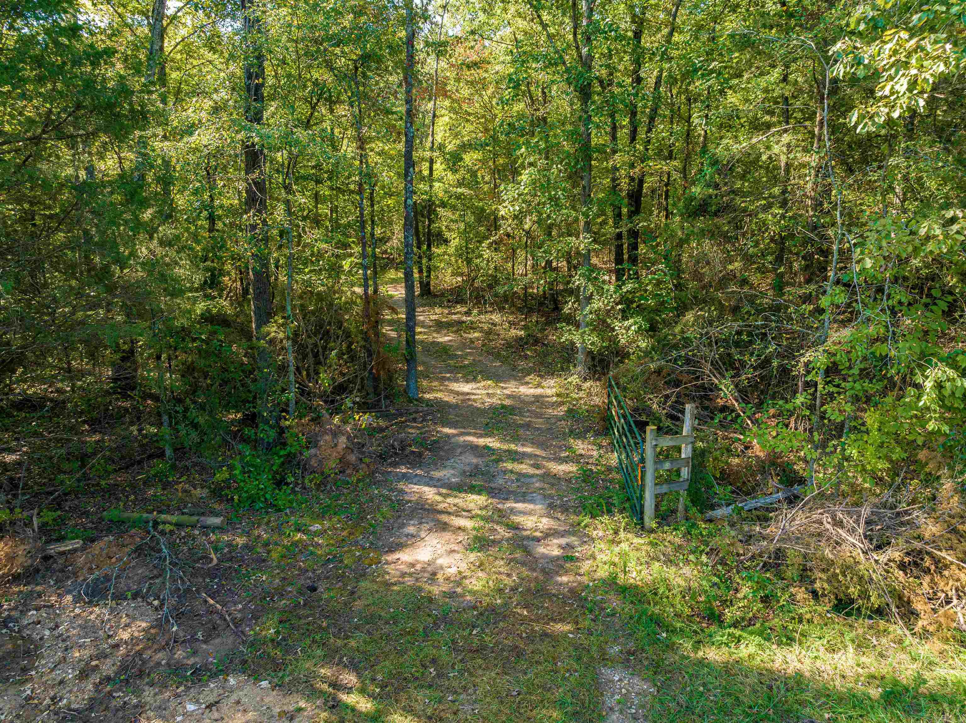 Photo 14 - Vacant Land for sale – 0  SILVER SPRINGS   Evening Shade, AR