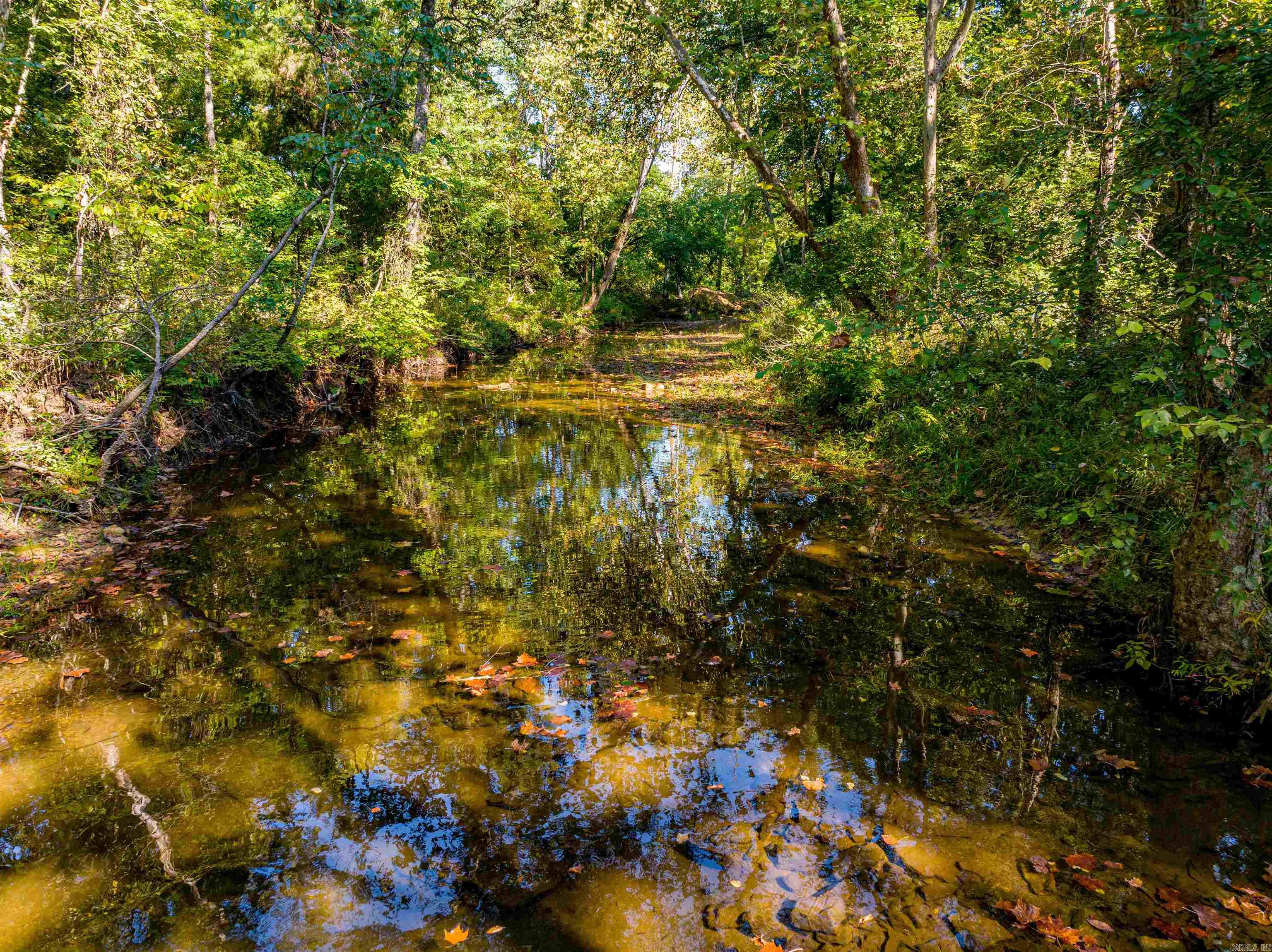 Photo 3 - Vacant Land for sale – 0  SILVER SPRINGS   Evening Shade, AR