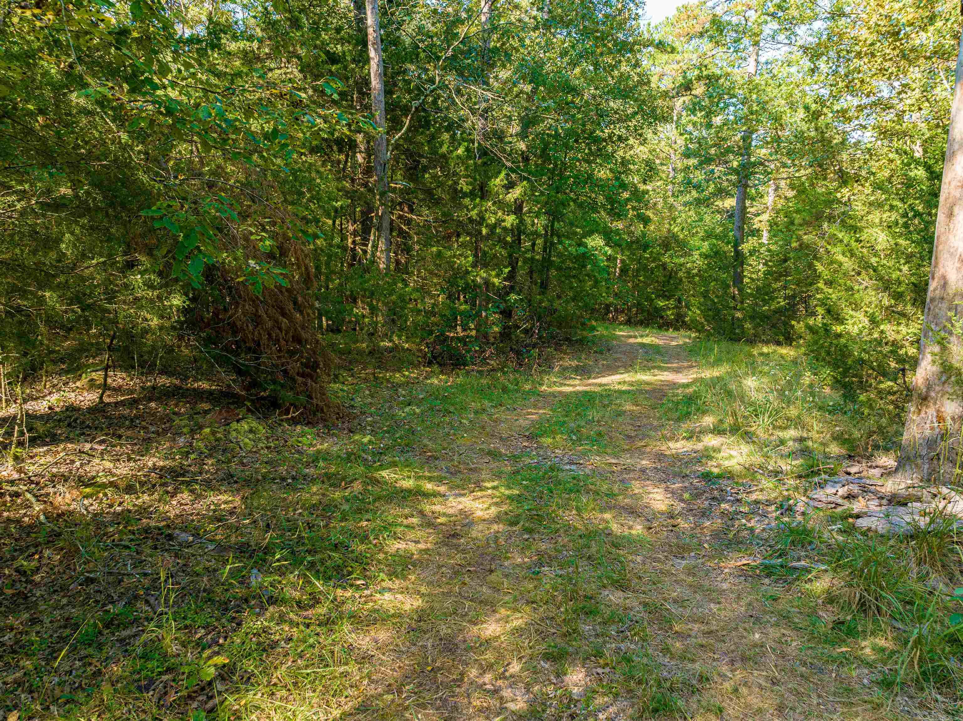 Photo 15 - Vacant Land for sale – 0  SILVER SPRINGS   Evening Shade, AR