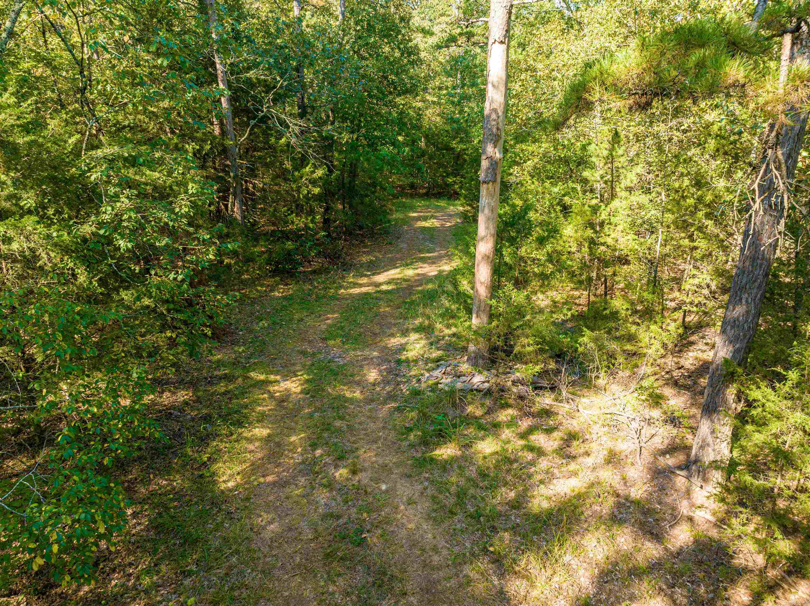 Photo 16 - Vacant Land for sale – 0  SILVER SPRINGS   Evening Shade, AR