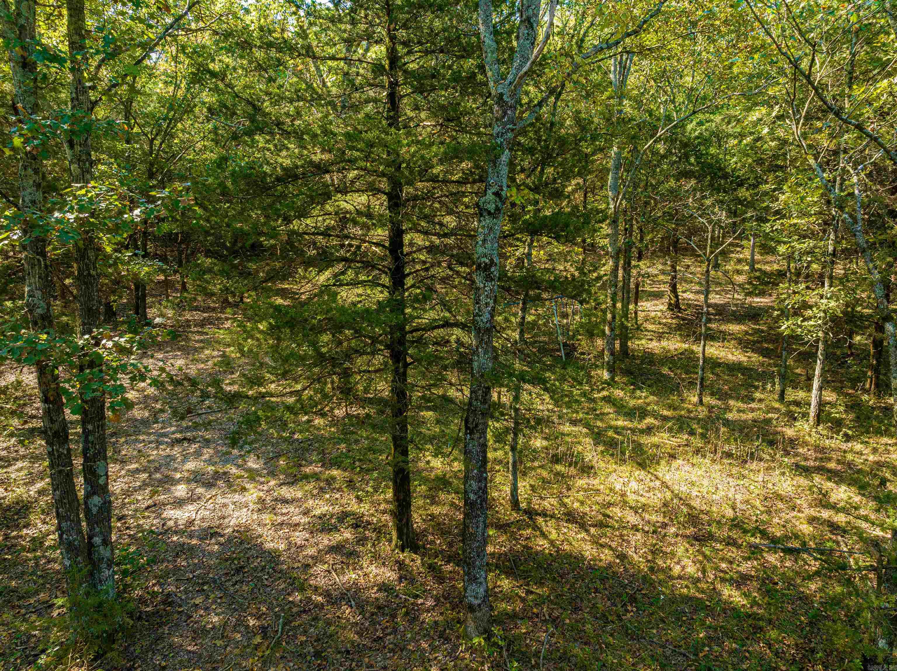 Photo 18 - Vacant Land for sale – 0  SILVER SPRINGS   Evening Shade, AR
