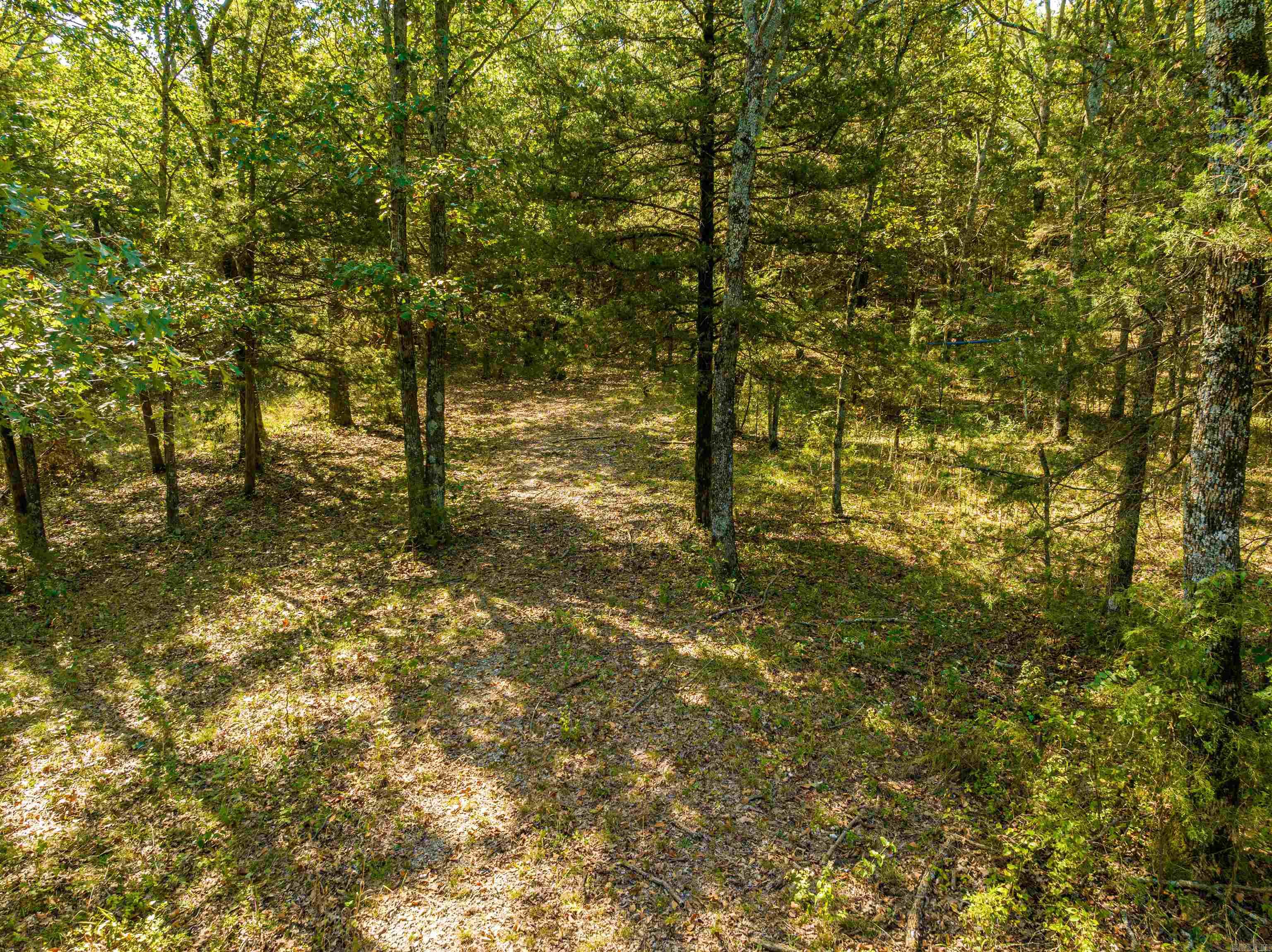 Photo 20 - Vacant Land for sale – 0  SILVER SPRINGS   Evening Shade, AR