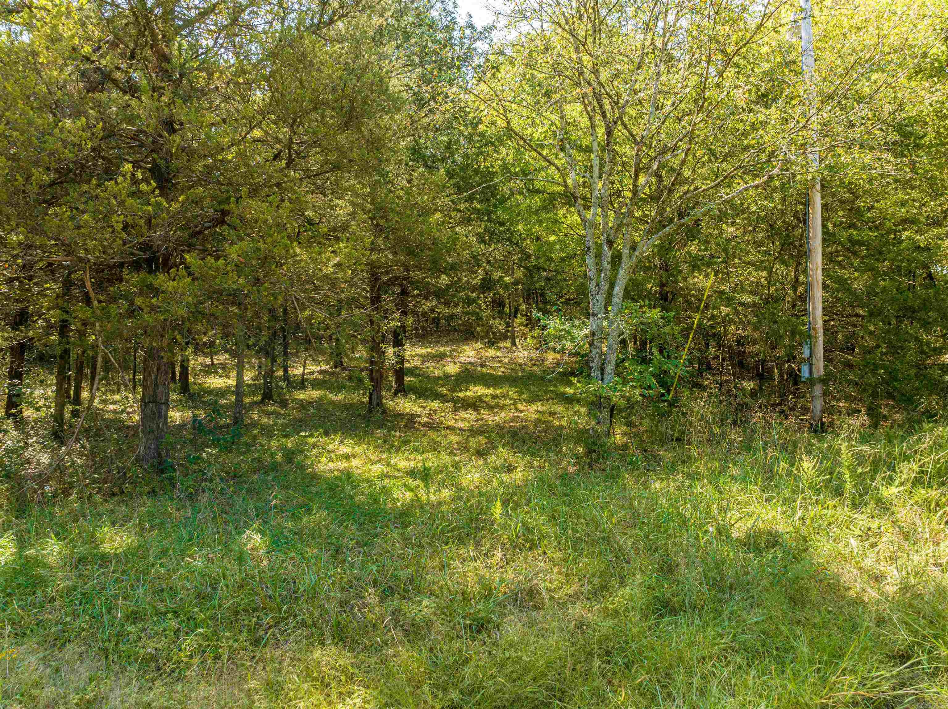 Photo 22 - Vacant Land for sale – 0  SILVER SPRINGS   Evening Shade, AR