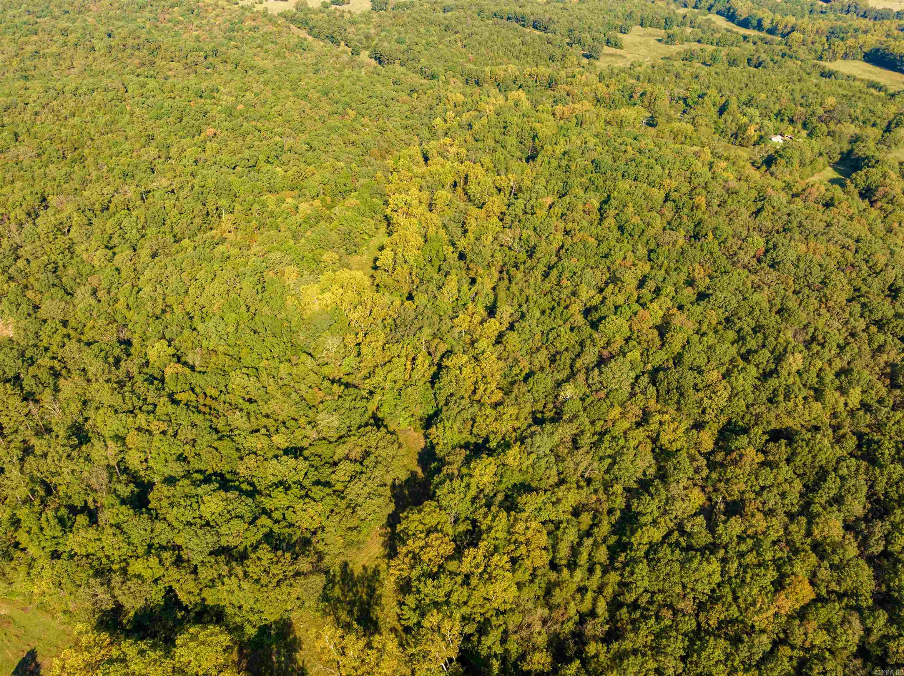 Photo 5 - Vacant Land for sale – 0  SILVER SPRINGS   Evening Shade, AR