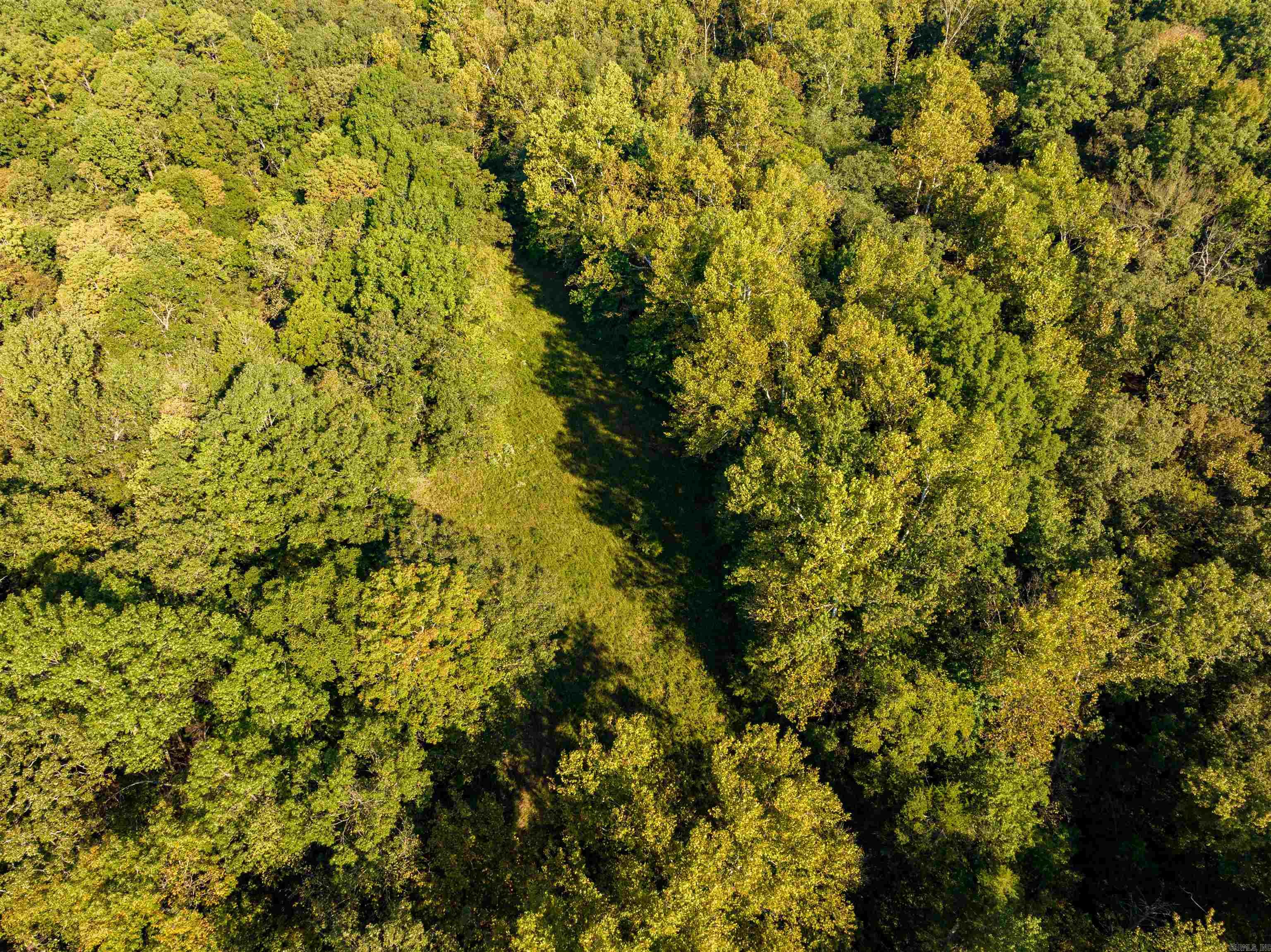 Photo 6 - Vacant Land for sale – 0  SILVER SPRINGS   Evening Shade, AR