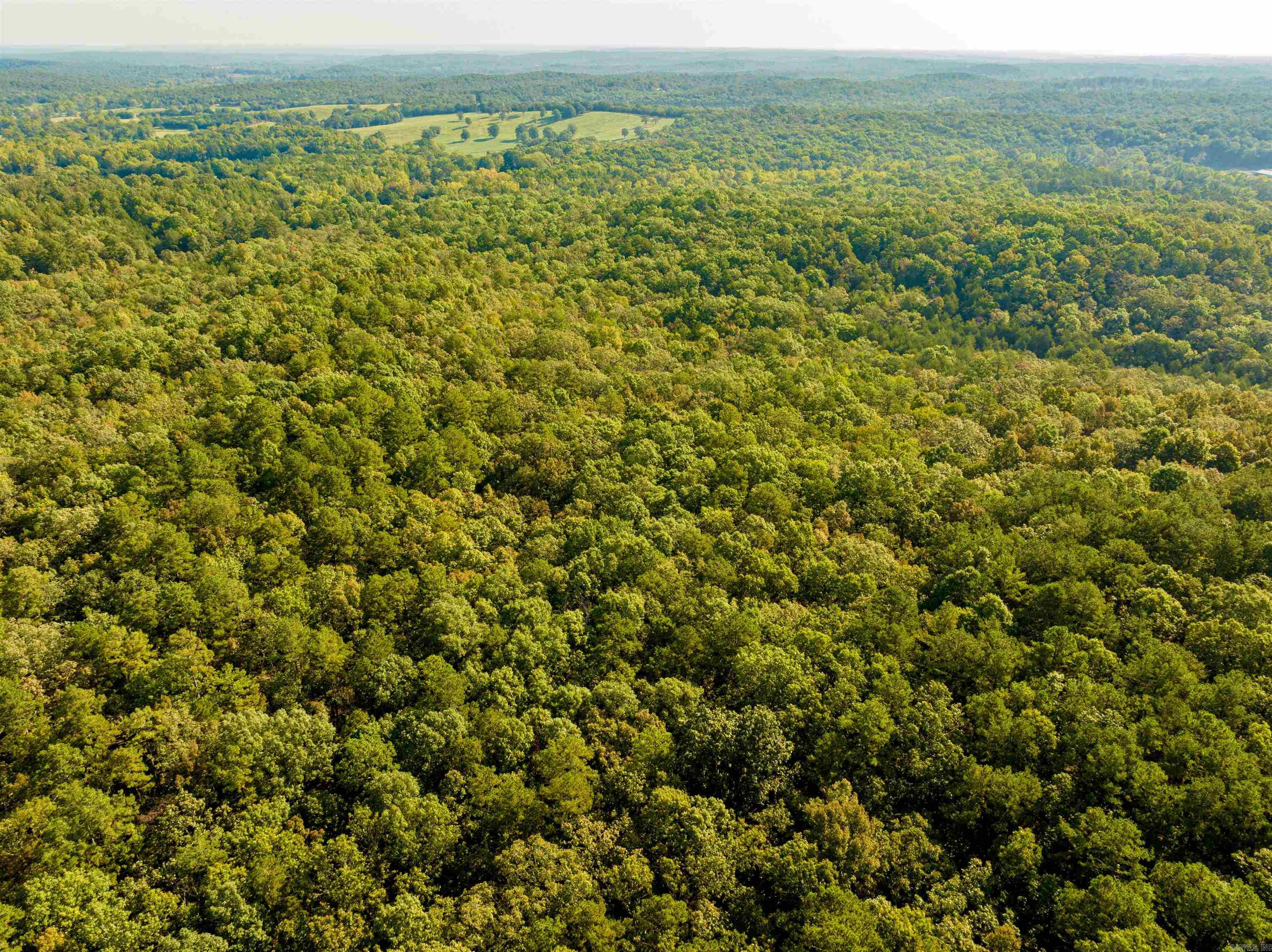 Photo 7 - Vacant Land for sale – 0  SILVER SPRINGS   Evening Shade, AR
