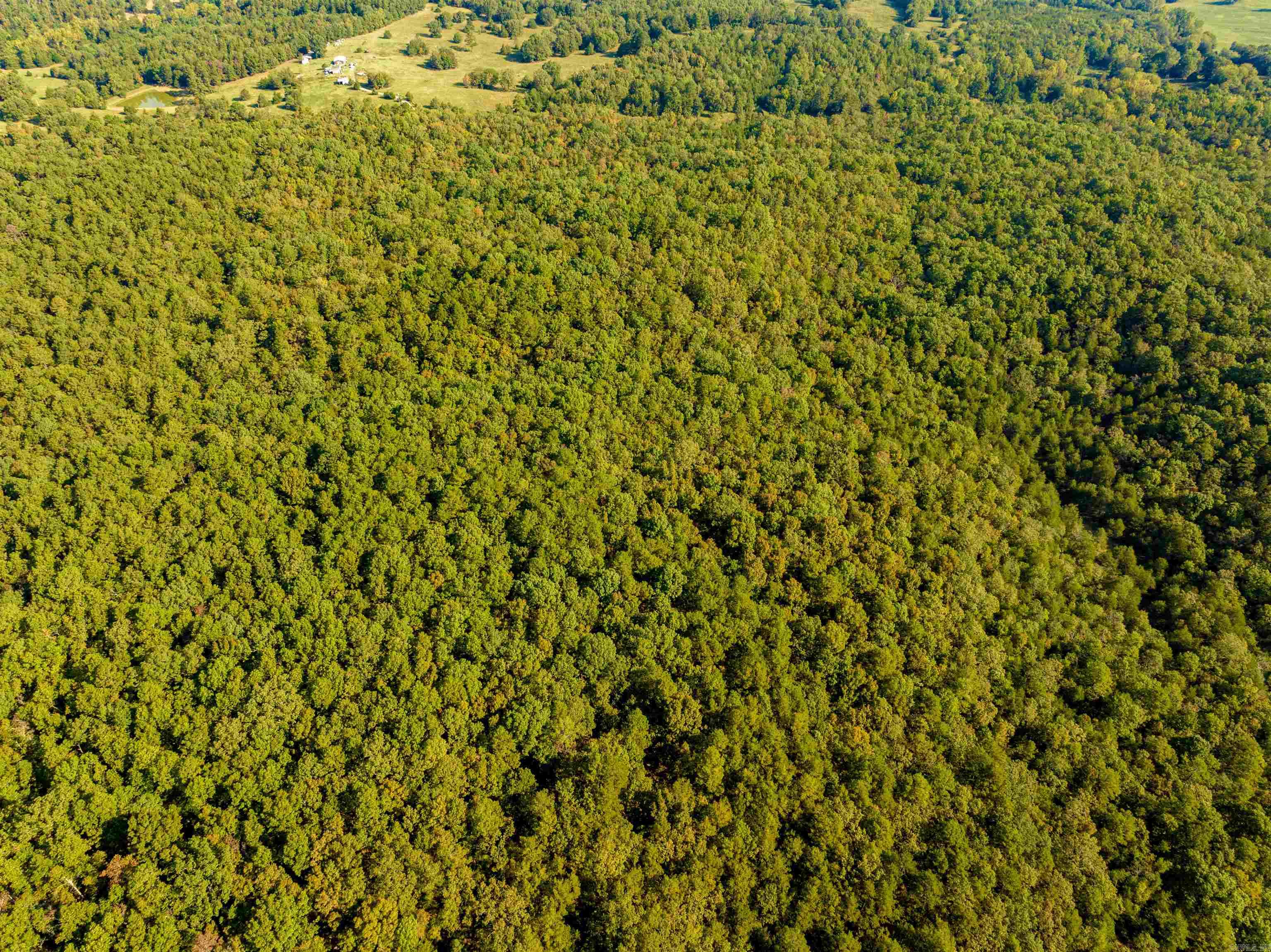 Photo 8 - Vacant Land for sale – 0  SILVER SPRINGS   Evening Shade, AR
