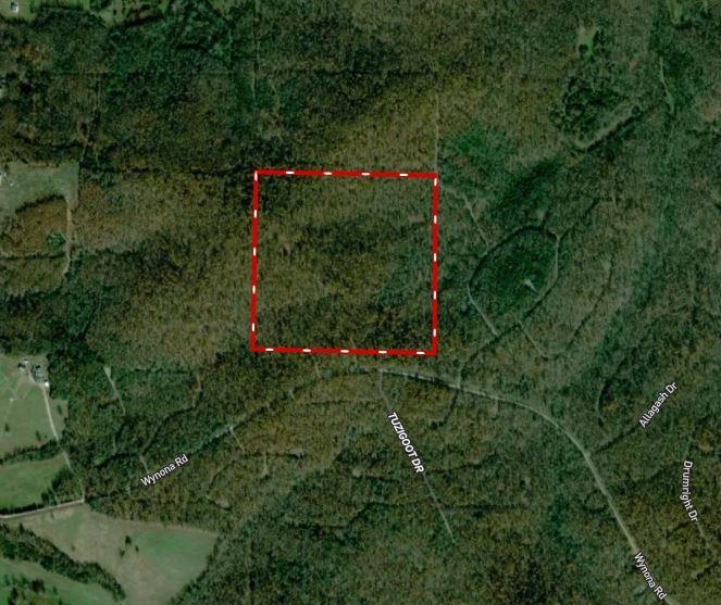 Photo 2 - Vacant Land for sale – TBD  Wynona Rd   Ash Flat, AR