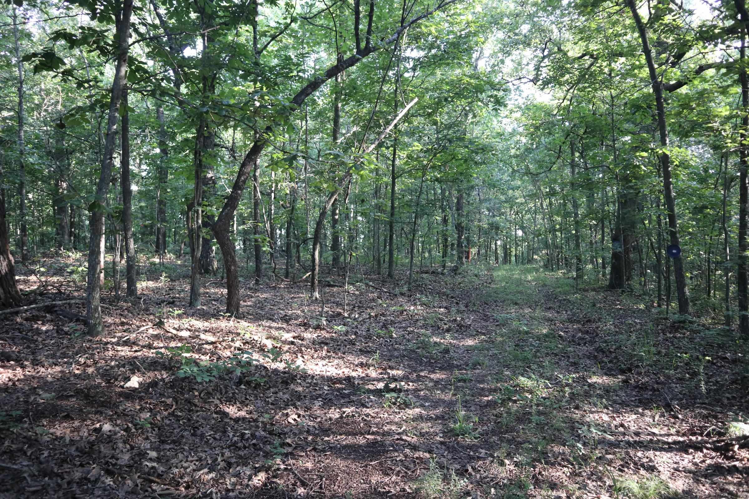 Photo 15 - Vacant Land for sale – TBD  Wynona Rd   Ash Flat, AR