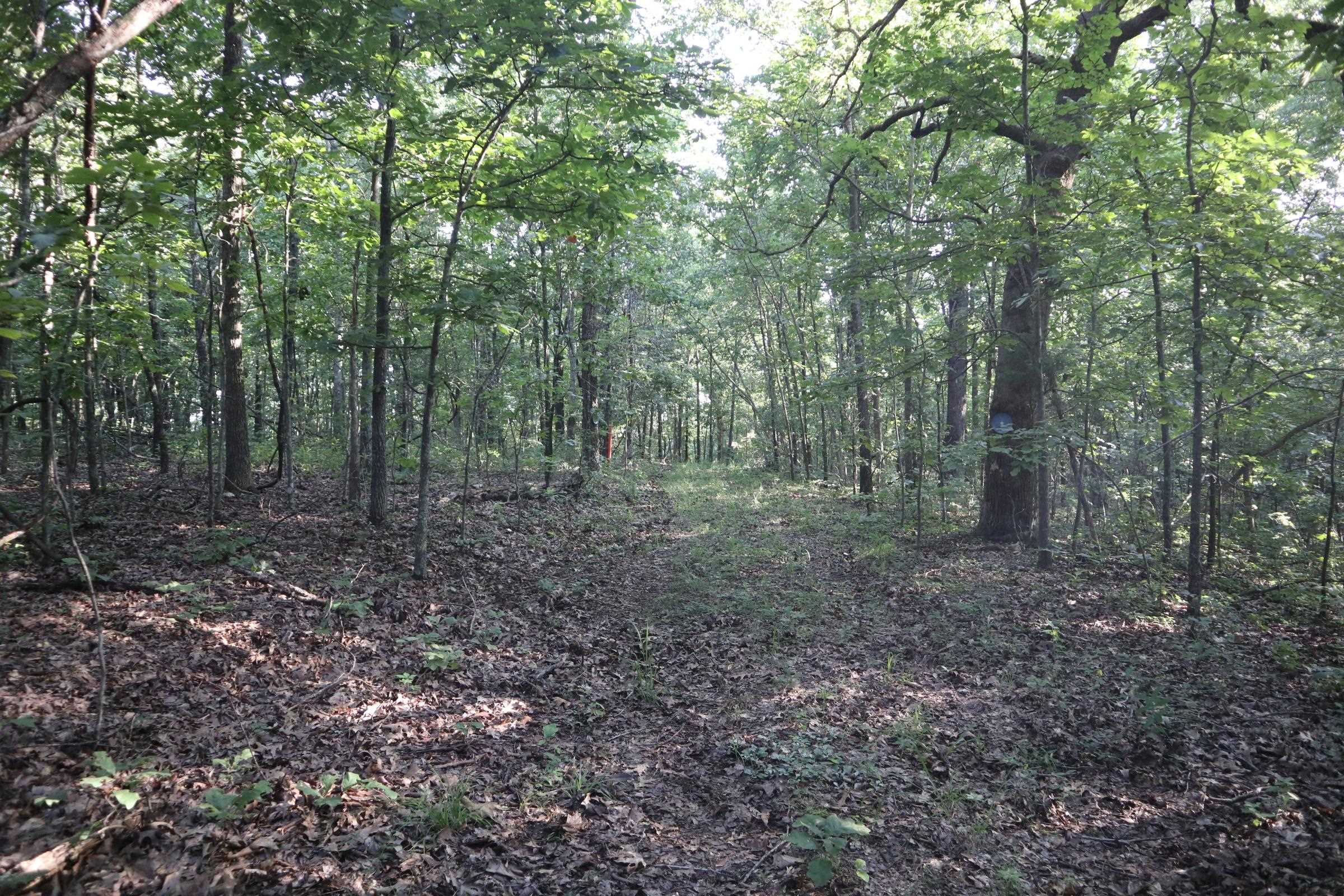 Photo 16 - Vacant Land for sale – TBD  Wynona Rd   Ash Flat, AR