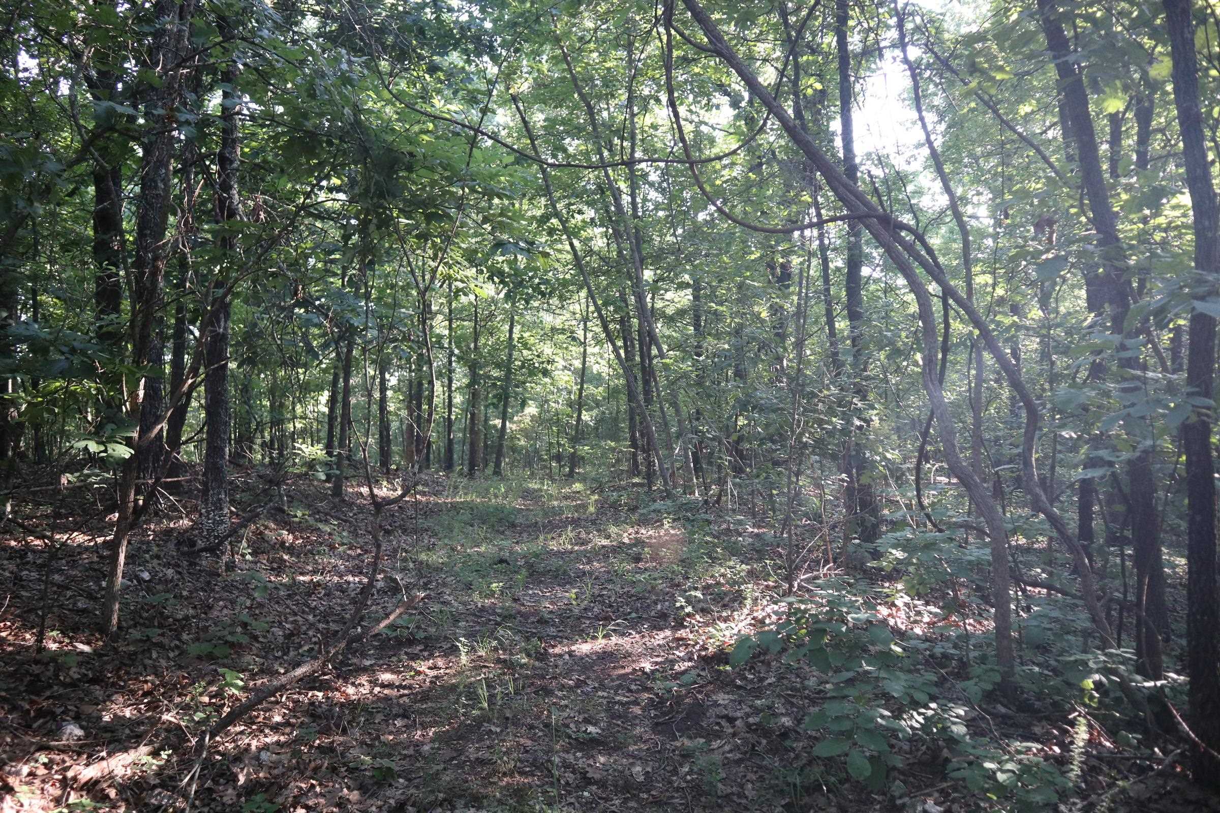 Photo 18 - Vacant Land for sale – TBD  Wynona Rd   Ash Flat, AR