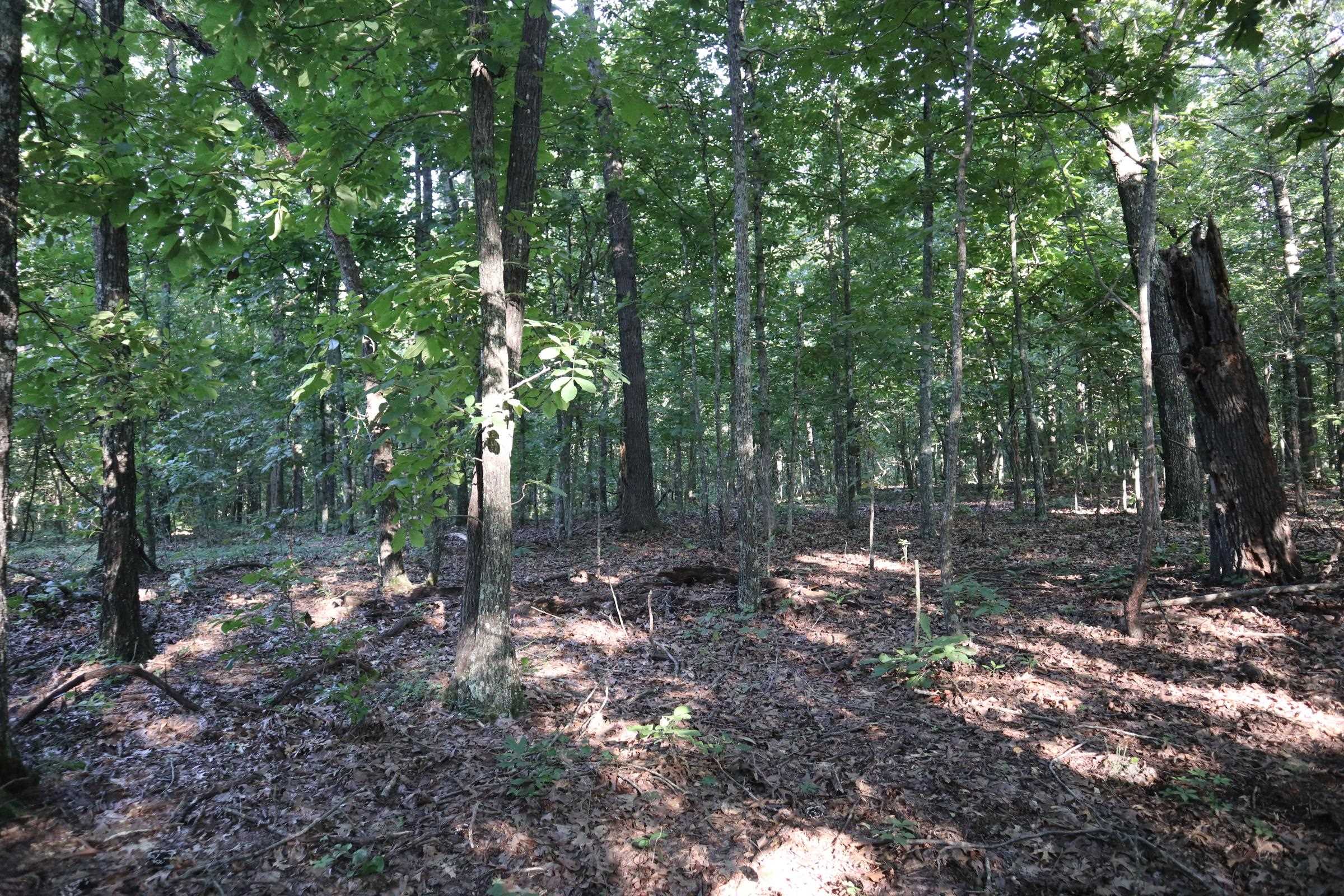 Photo 19 - Vacant Land for sale – TBD  Wynona Rd   Ash Flat, AR