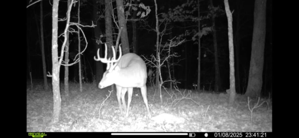 Photo 22 - Vacant Land for sale – TBD  Wynona Rd   Ash Flat, AR