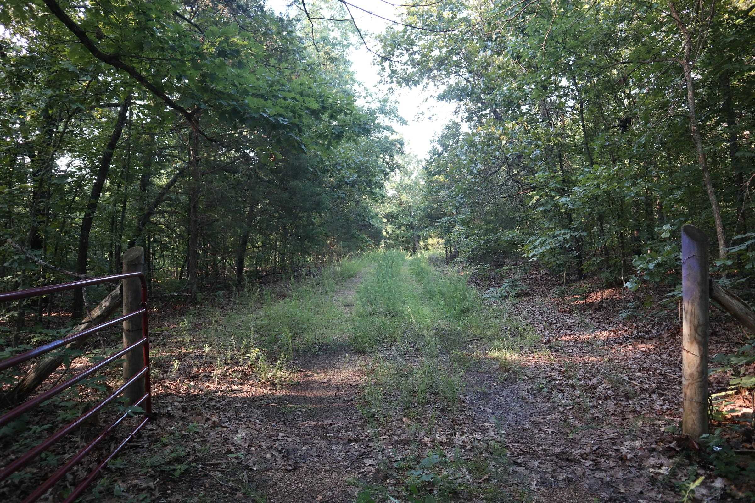 Photo 5 - Vacant Land for sale – TBD  Wynona Rd   Ash Flat, AR