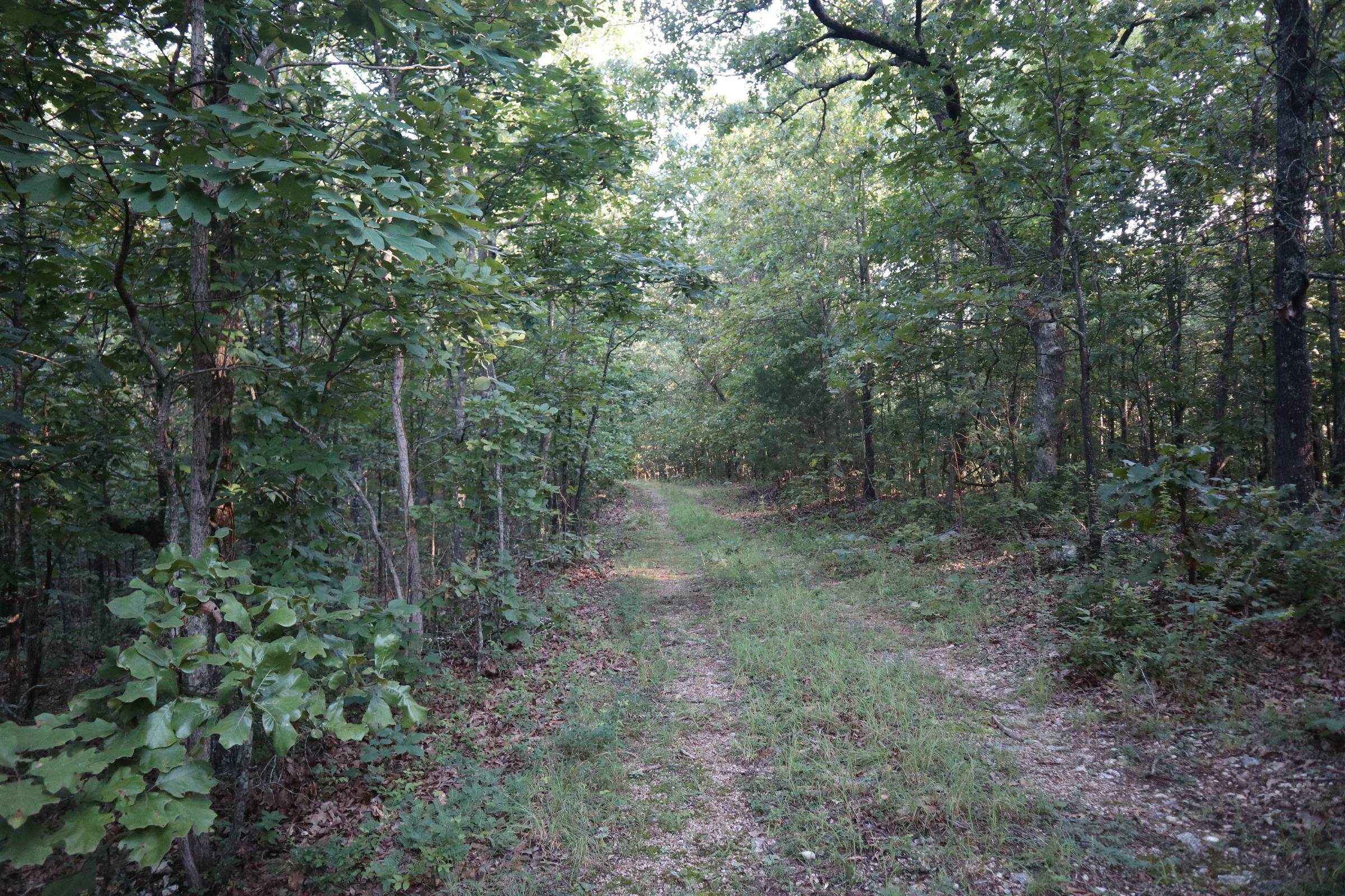 Photo 9 - Vacant Land for sale – TBD  Wynona Rd   Ash Flat, AR