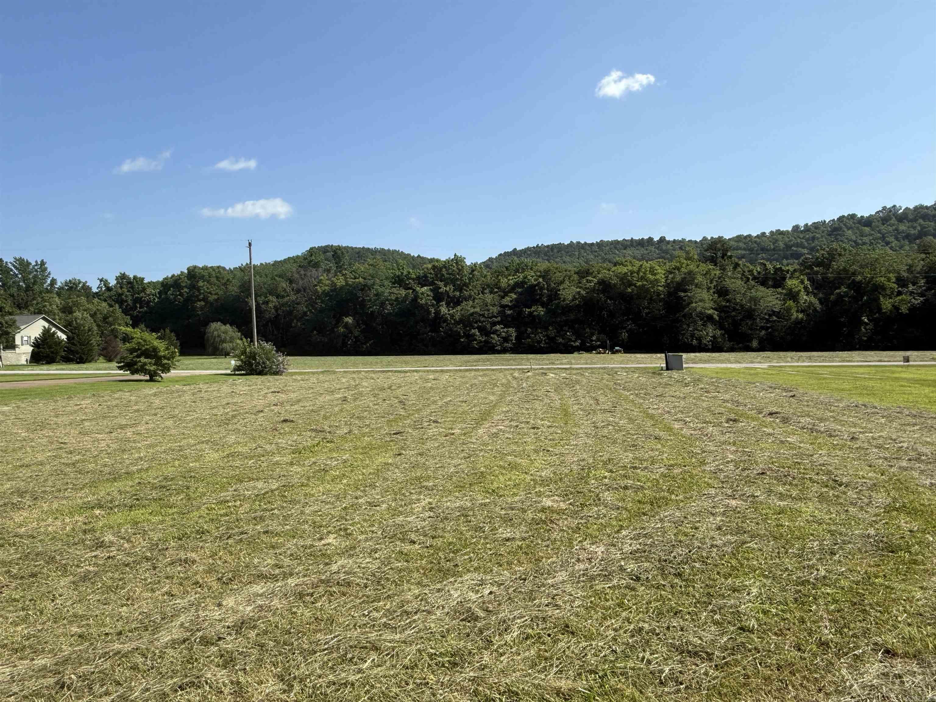Photo 2 - Vacant Land for sale – 890  Riverview Lane South   Mountain View, AR