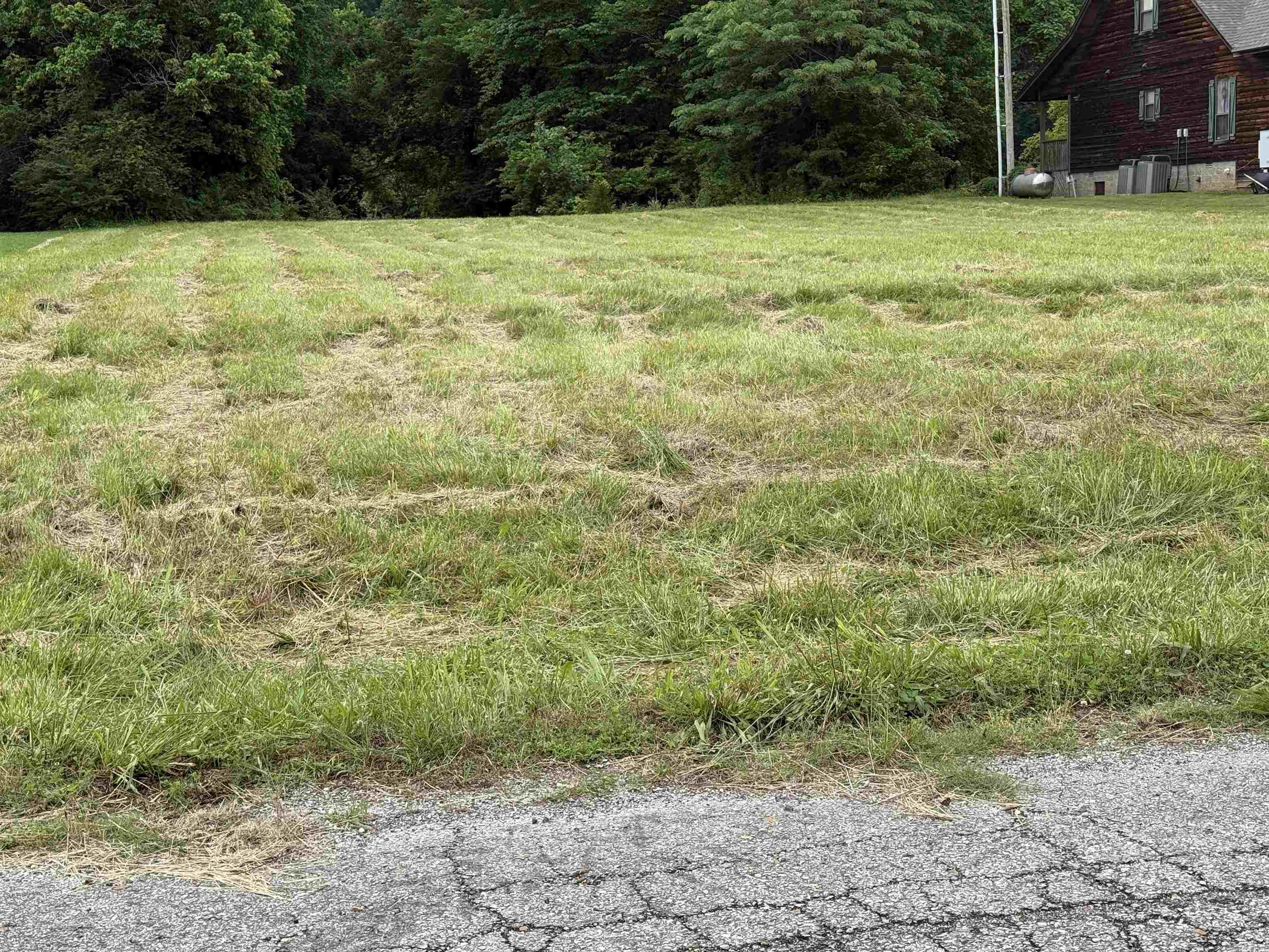 Photo 5 - Vacant Land for sale – 890  Riverview Lane South   Mountain View, AR