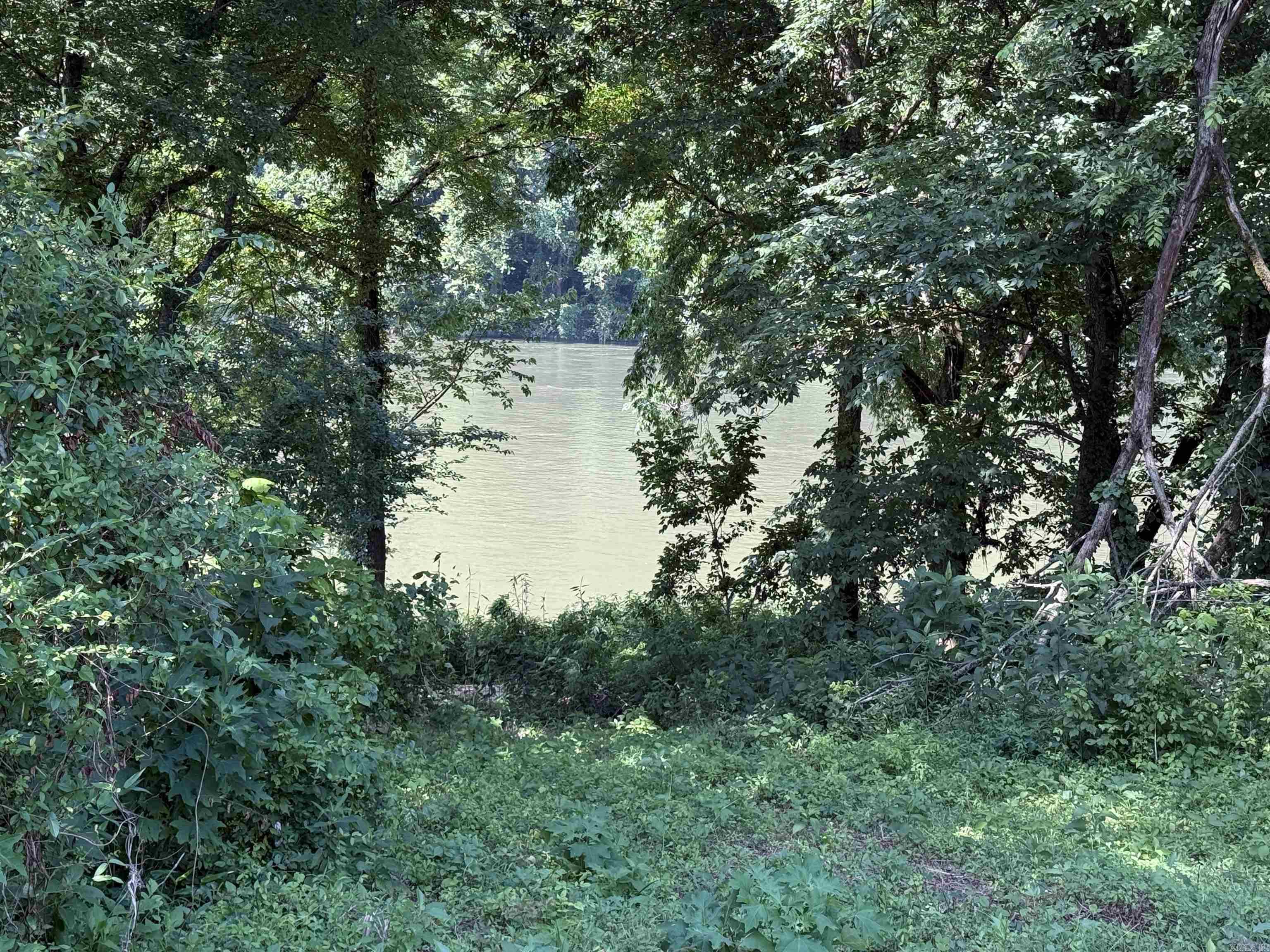 Photo 6 - Vacant Land for sale – 890  Riverview Lane South   Mountain View, AR