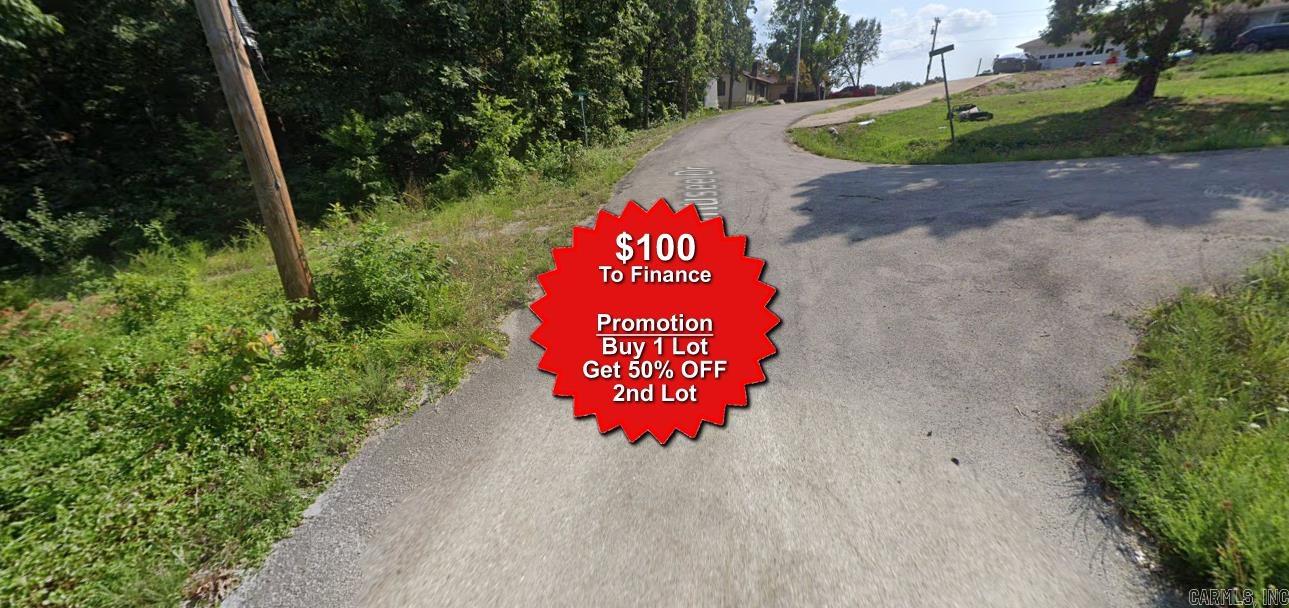 Vacant Land for sale – Lot 19  Webaunsee   Cherokee Village, AR
