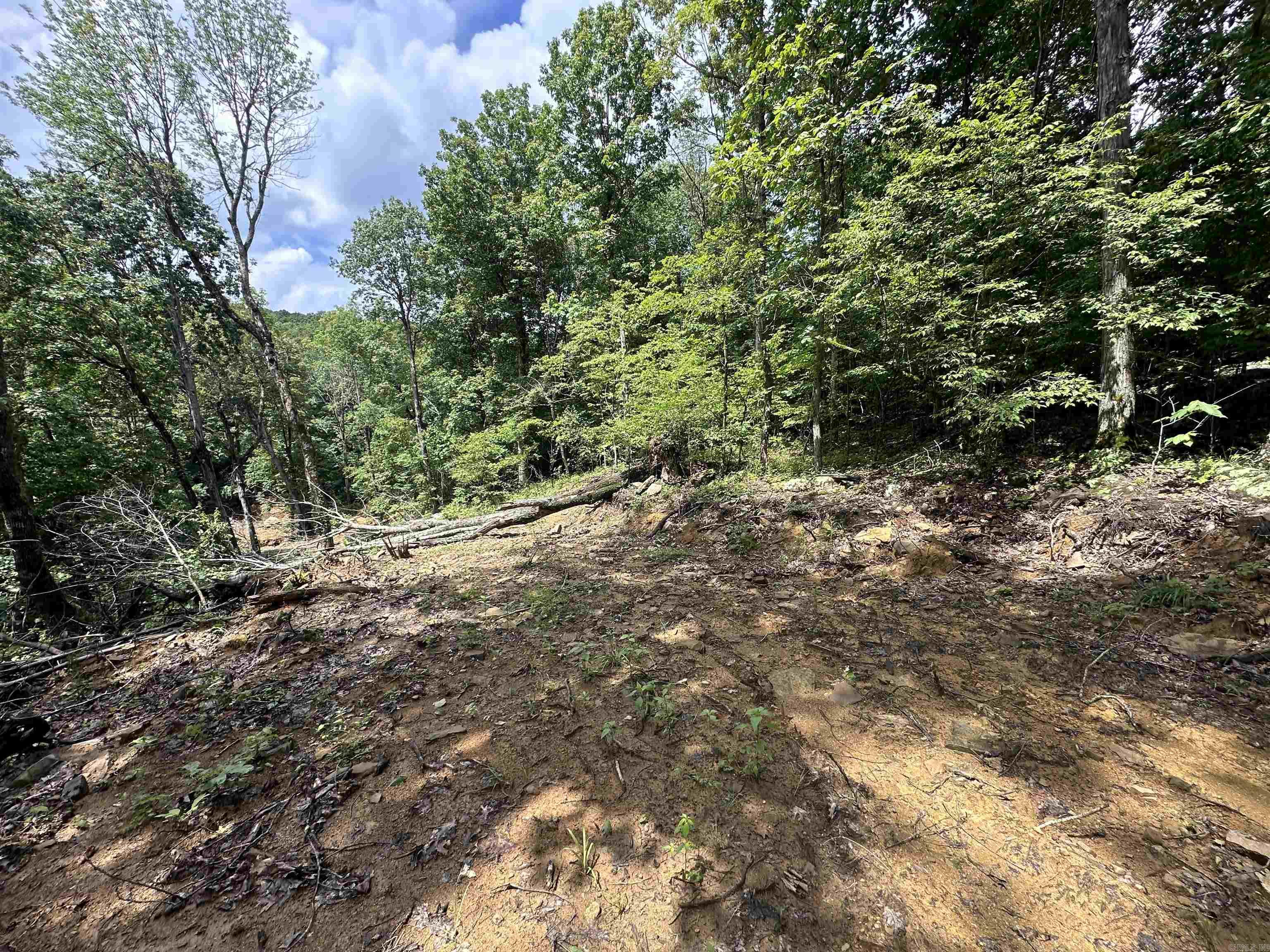 Photo 21 - Vacant Land for sale – 0  Old 66 Rd   Leslie, AR