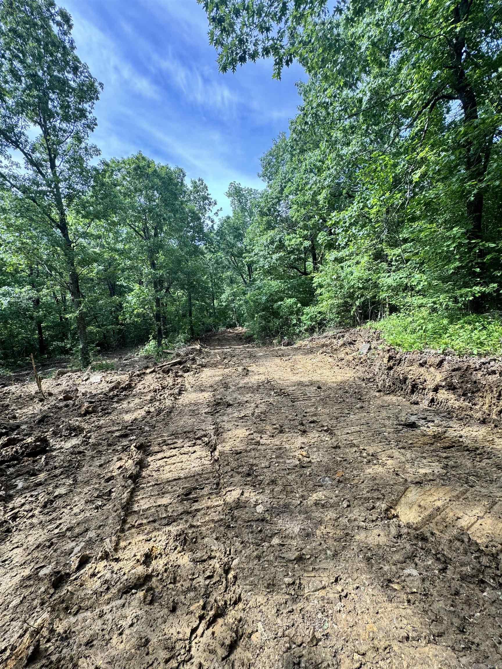 Photo 22 - Vacant Land for sale – 0  Old 66 Rd   Leslie, AR