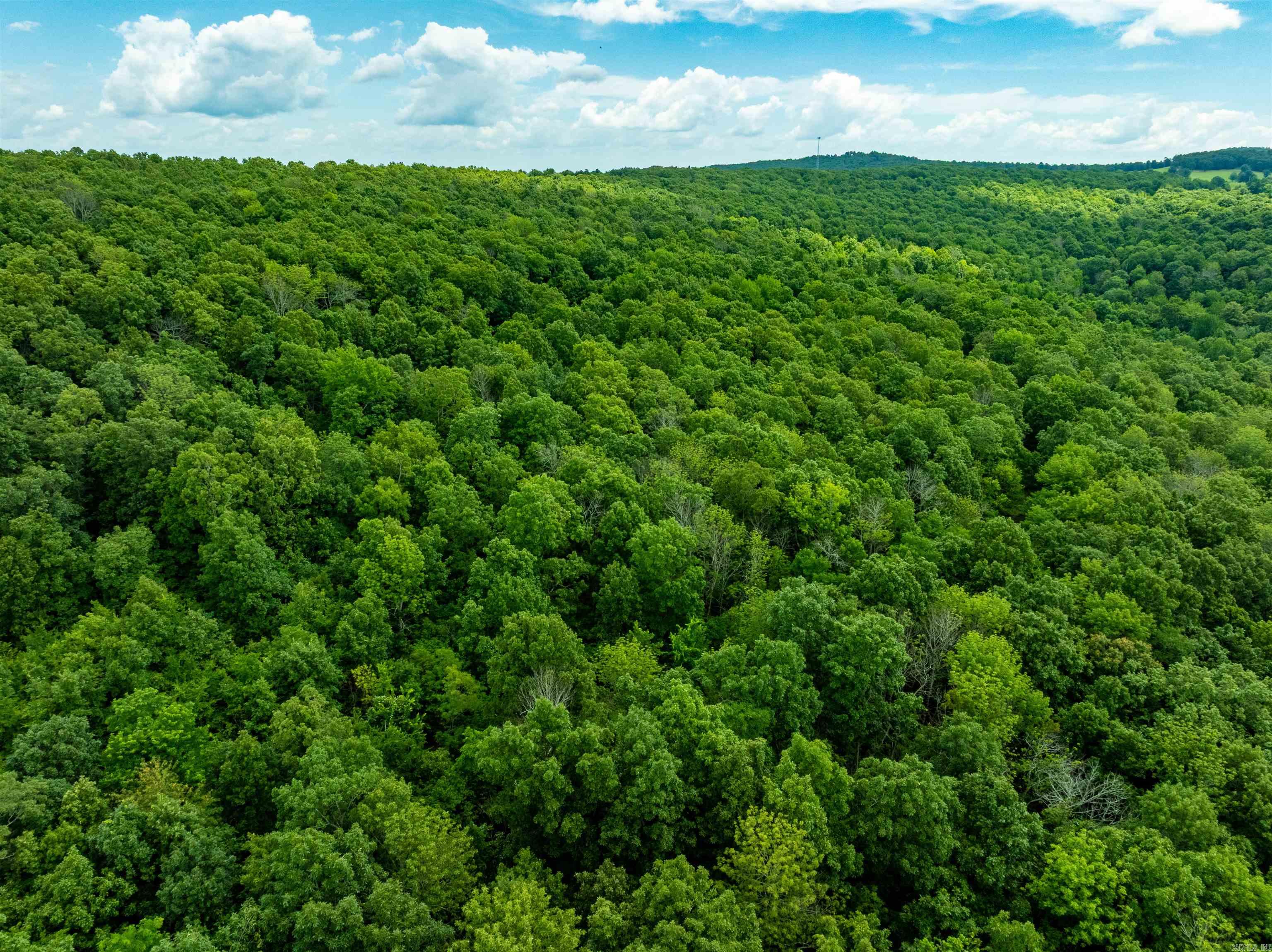 Photo 9 - Vacant Land for sale – 0  Old 66 Rd   Leslie, AR