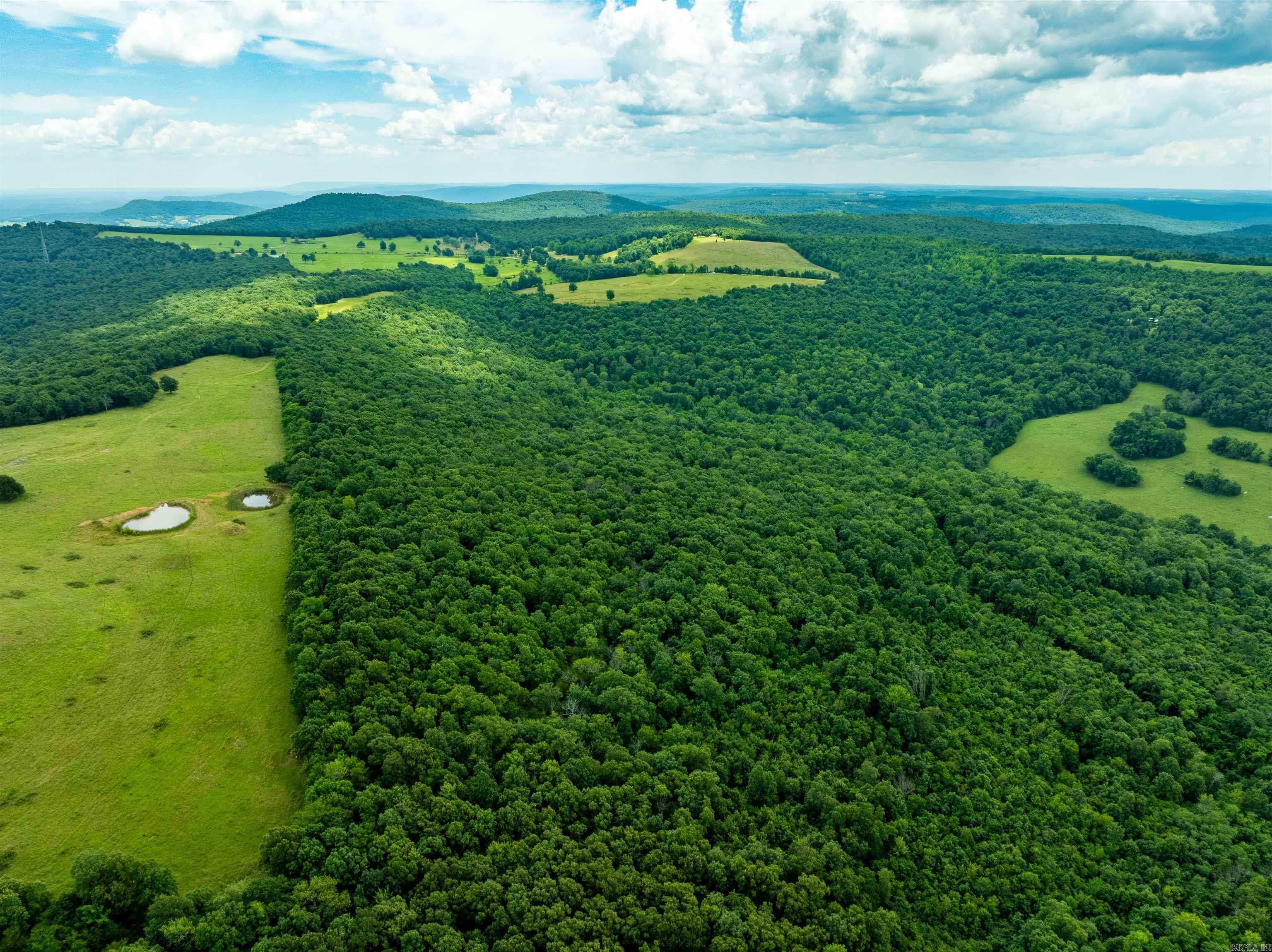 Photo 10 - Vacant Land for sale – 0  Old 66 Rd   Leslie, AR