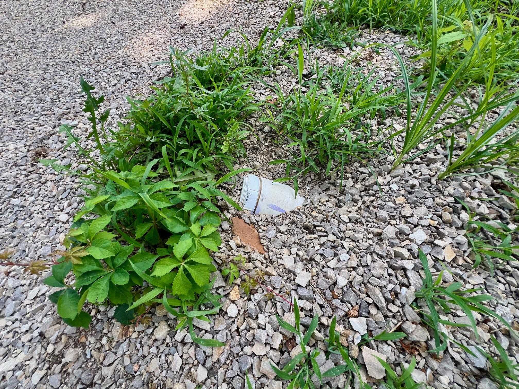 Photo 4 - Vacant Land for sale – 6 E Valley   Hardy, AR