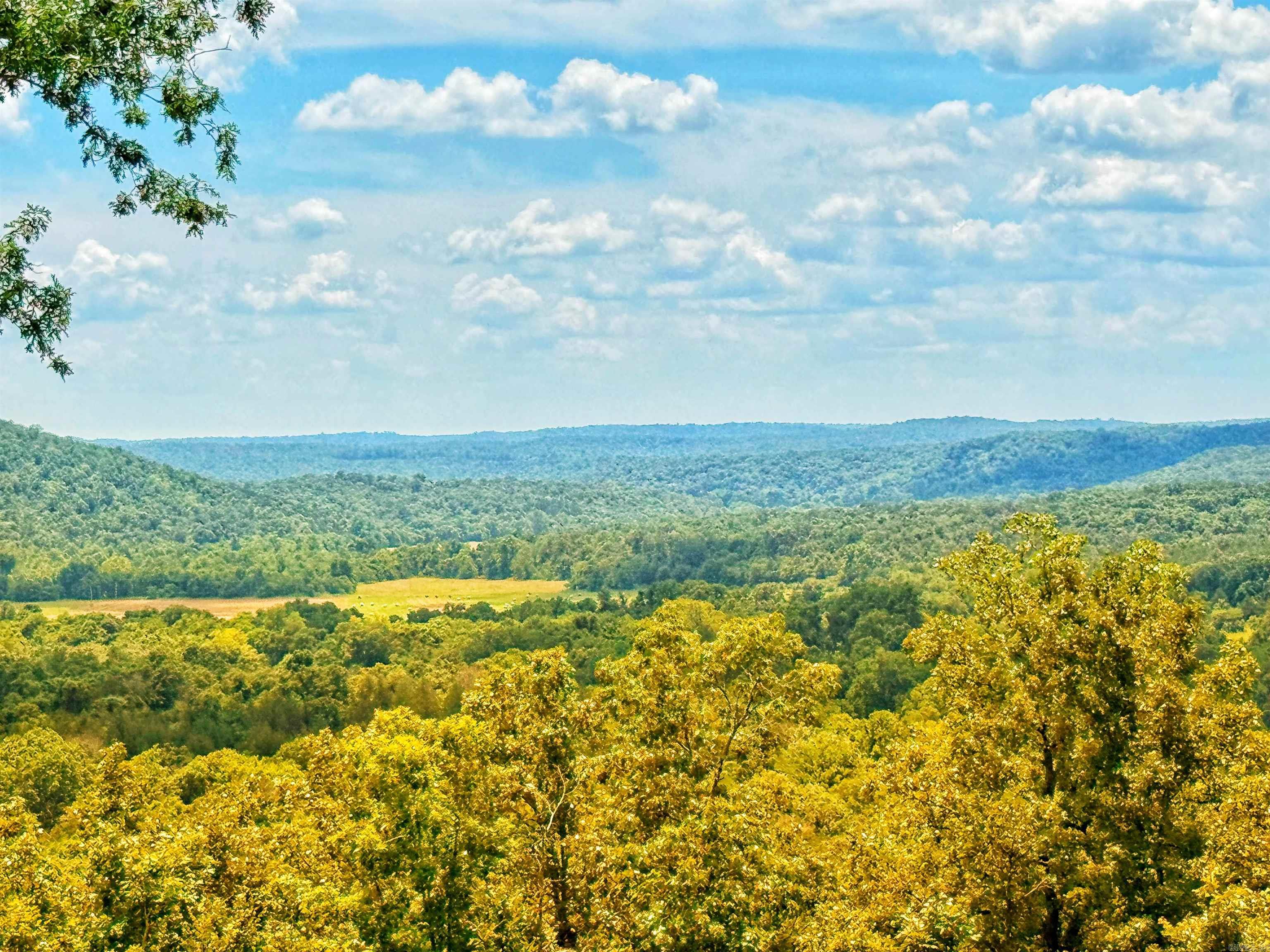 Photo 4 - Residential for sale – 178  Paw Paw Ridge   Hardy, AR