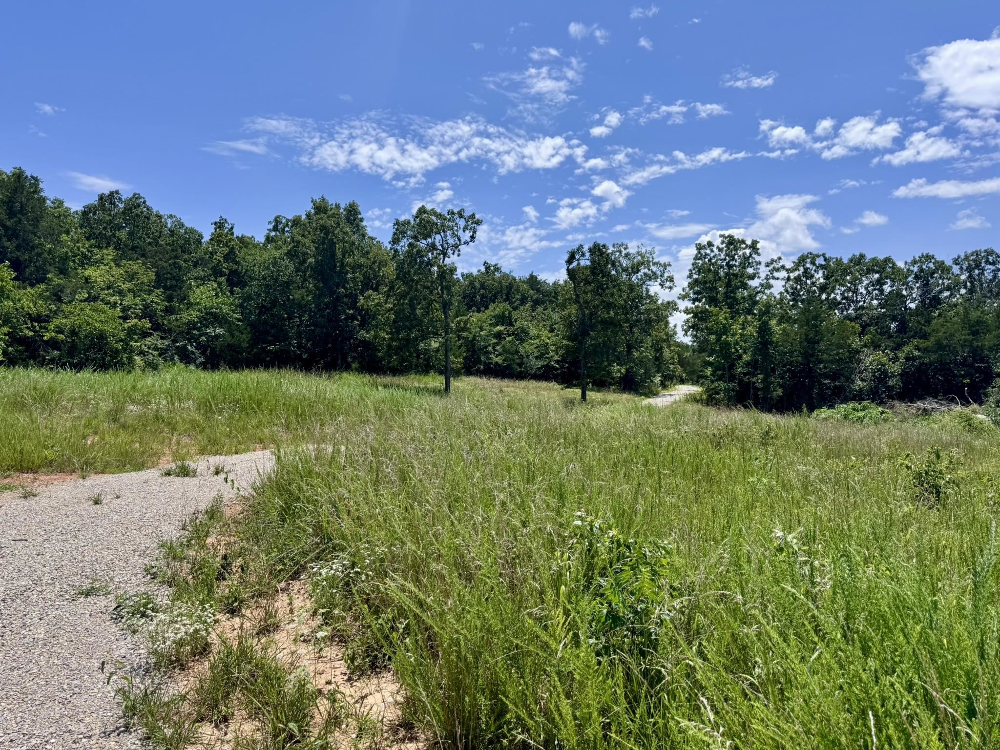 Photo 11 - Vacant Land for sale – 38A  Honeysuckle Lane   Wiseman, AR