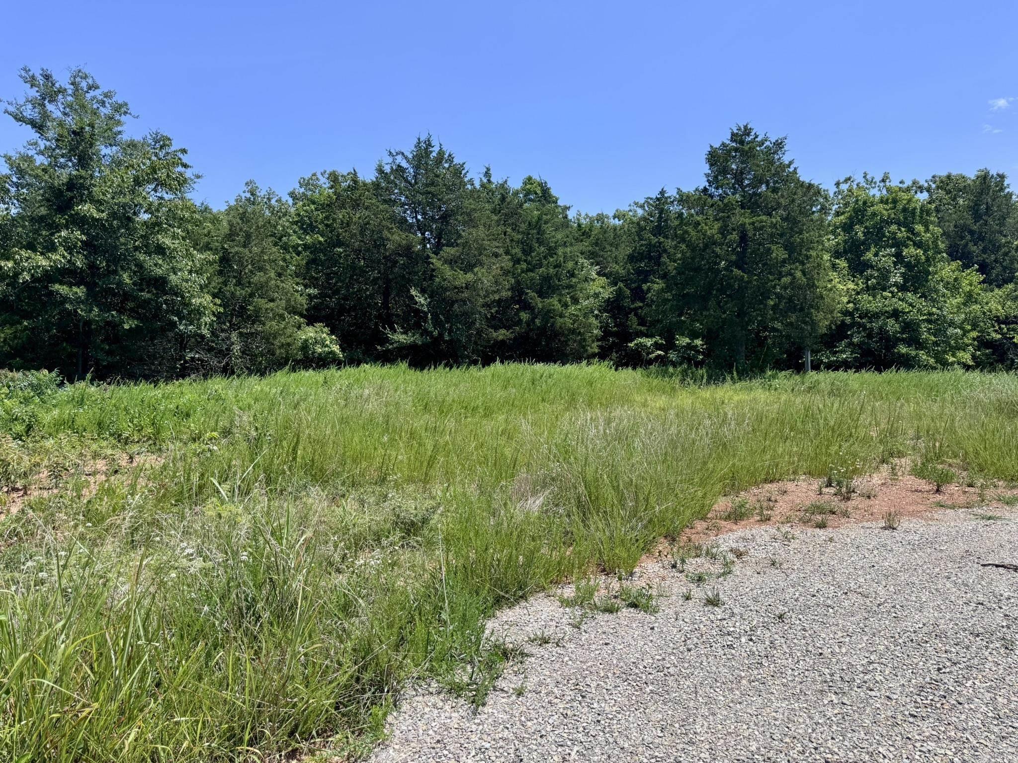 Photo 12 - Vacant Land for sale – 38A  Honeysuckle Lane   Wiseman, AR