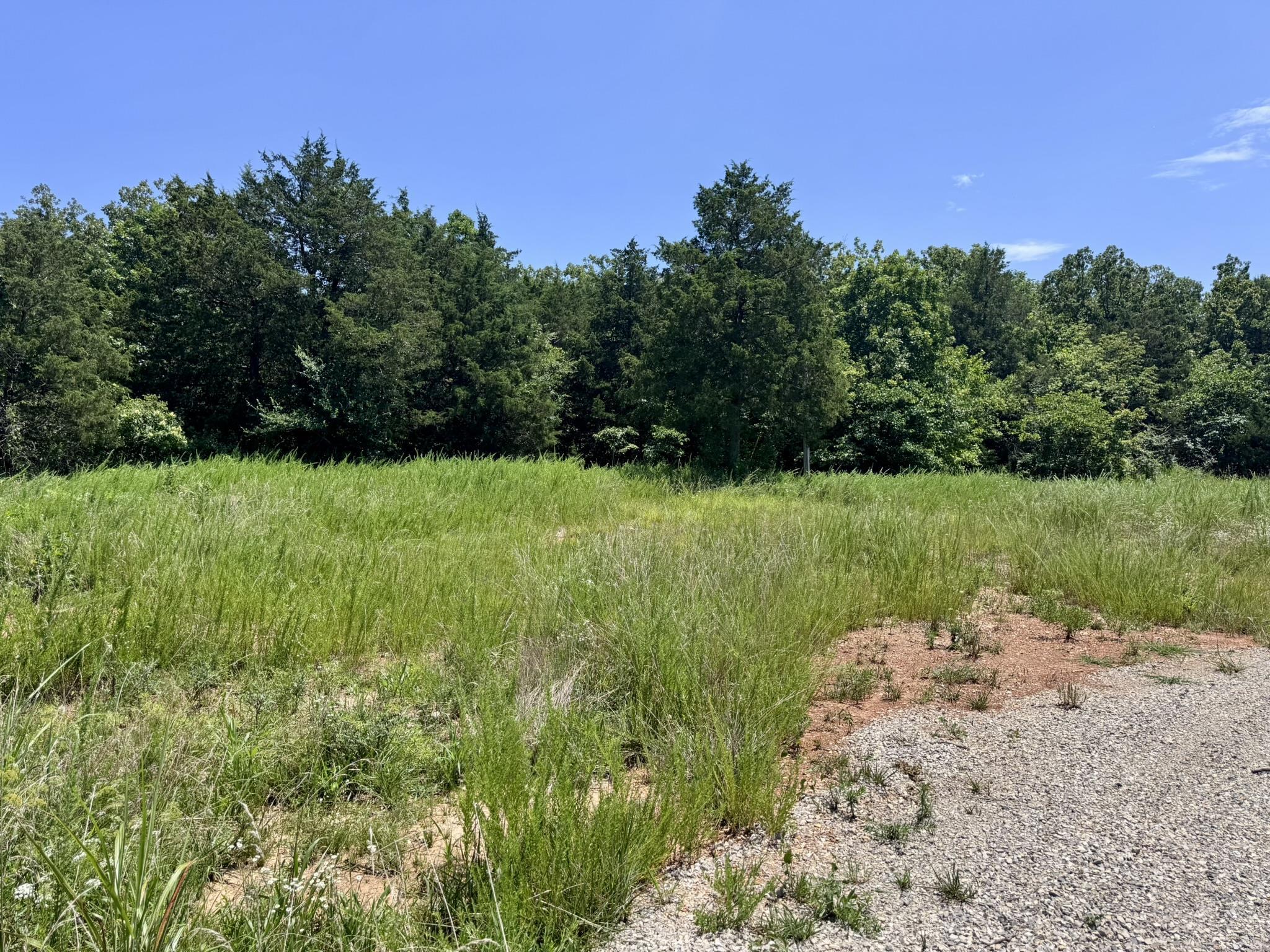 Photo 13 - Vacant Land for sale – 38A  Honeysuckle Lane   Wiseman, AR