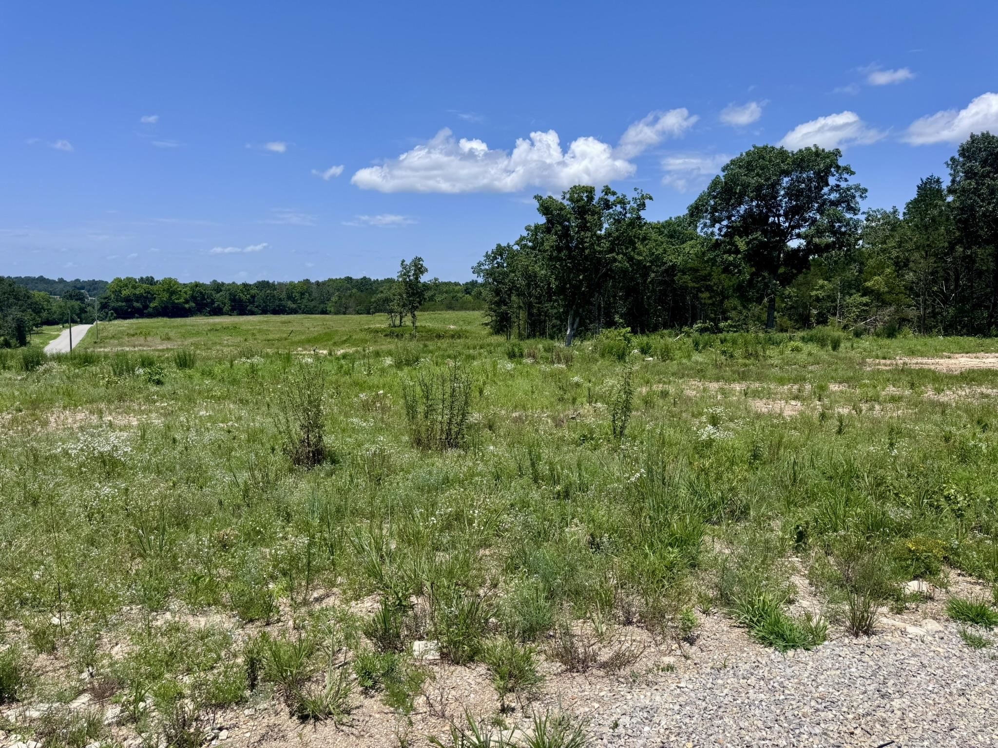 Photo 14 - Vacant Land for sale – 38A  Honeysuckle Lane   Wiseman, AR