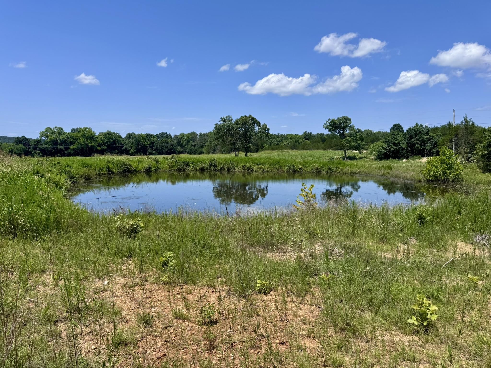 Photo 5 - Vacant Land for sale – 38A  Honeysuckle Lane   Wiseman, AR
