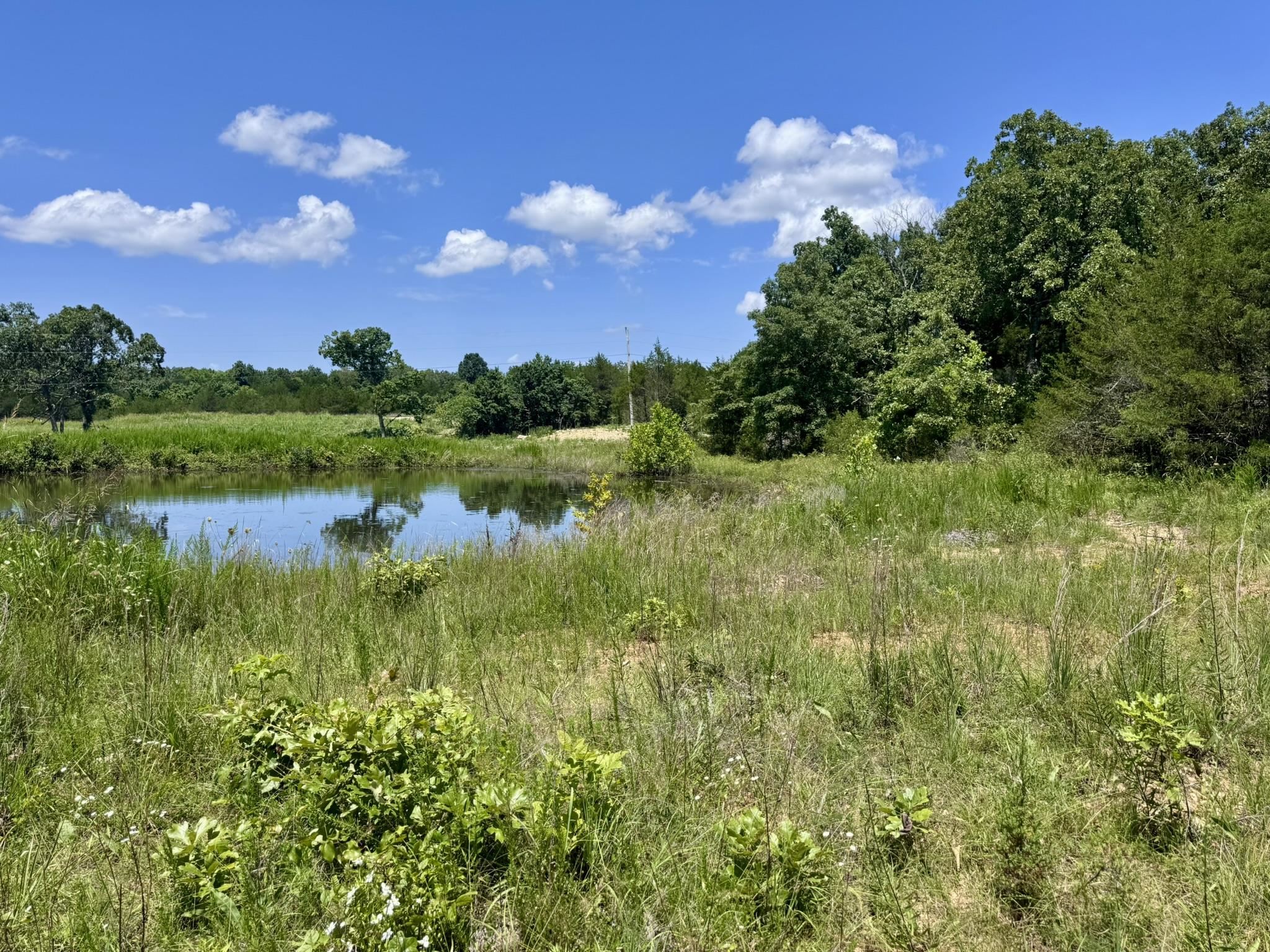 Photo 6 - Vacant Land for sale – 38A  Honeysuckle Lane   Wiseman, AR