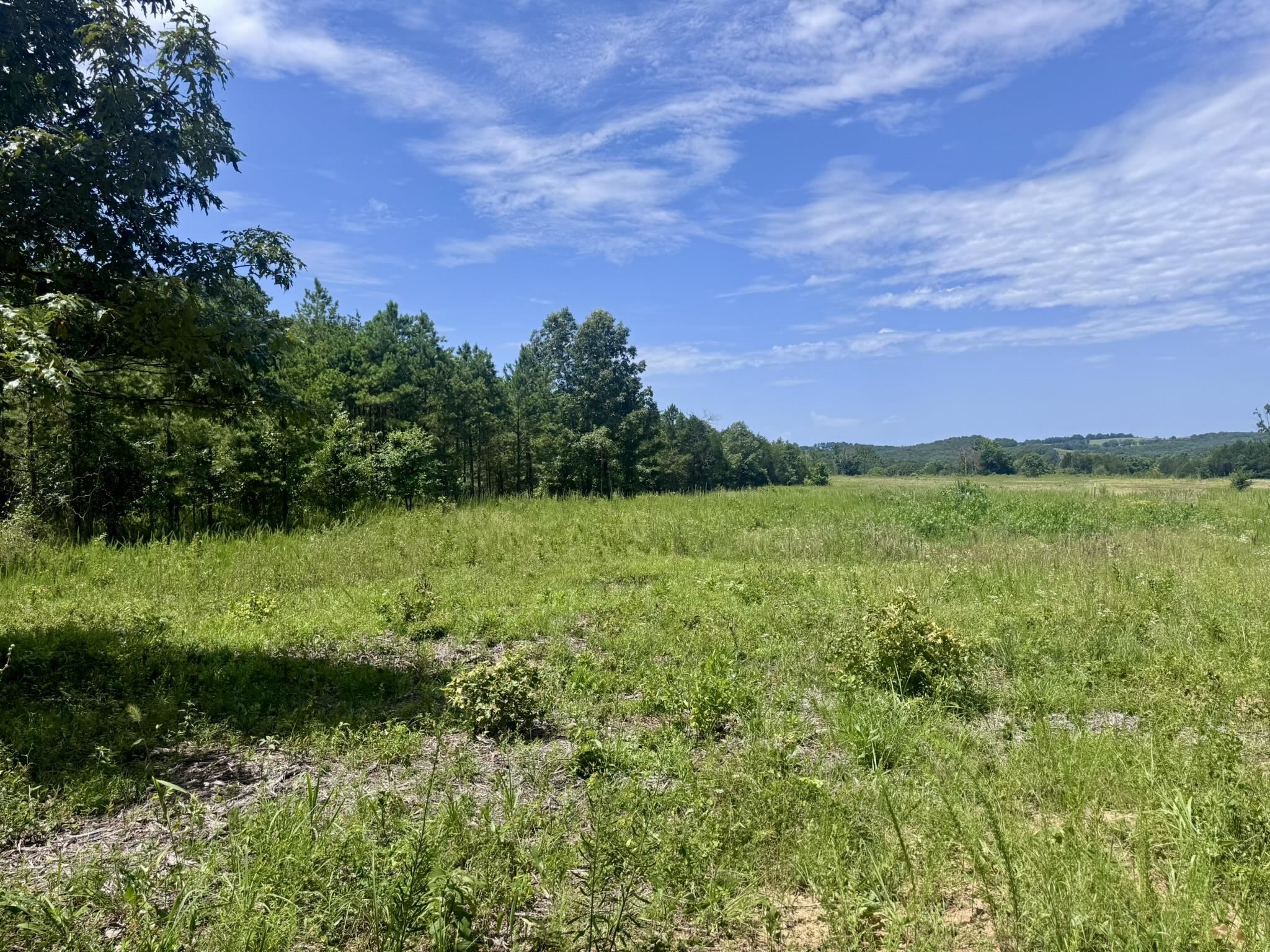 Photo 7 - Vacant Land for sale – 38A  Honeysuckle Lane   Wiseman, AR