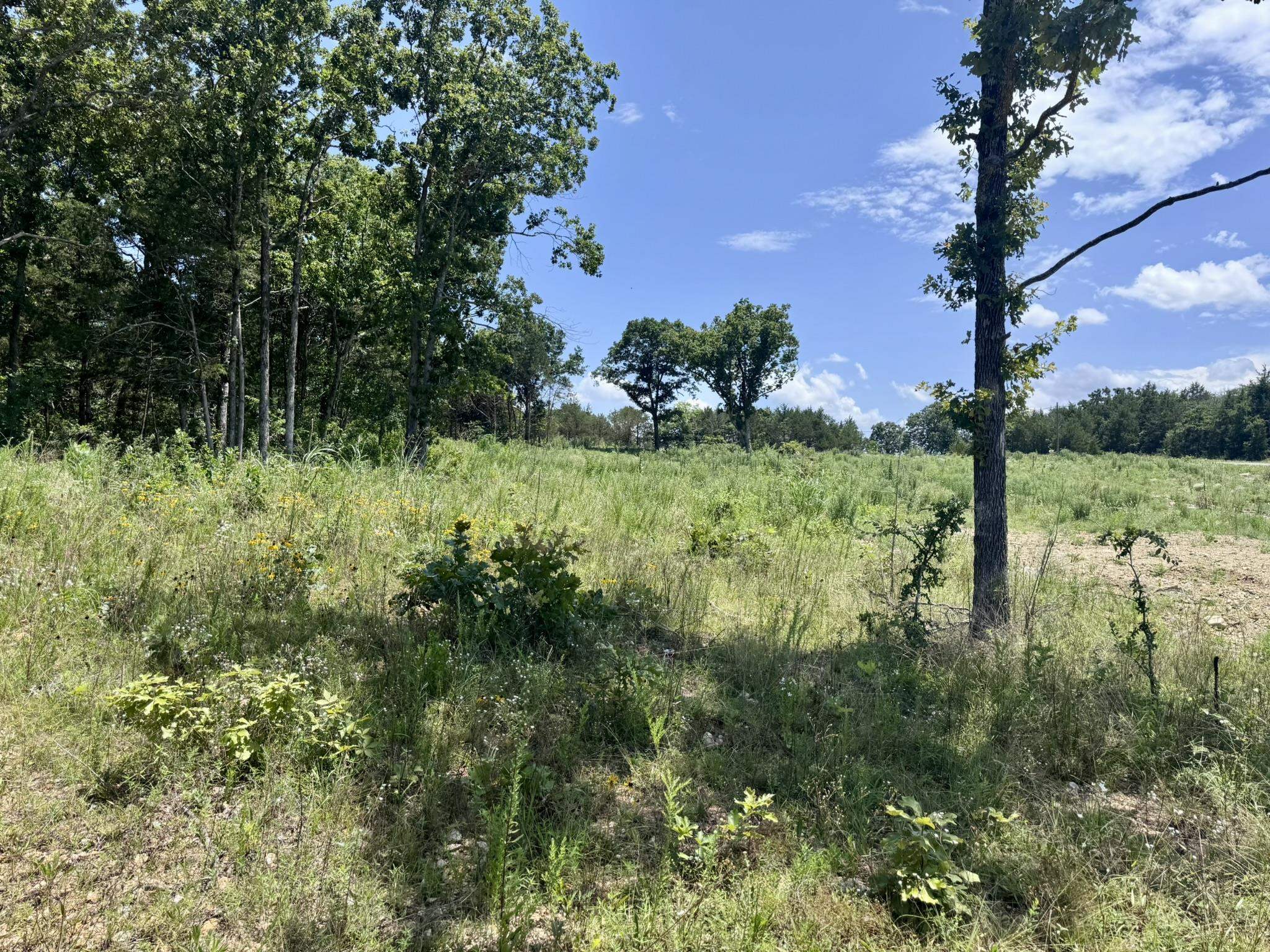 Photo 9 - Vacant Land for sale – 38A  Honeysuckle Lane   Wiseman, AR